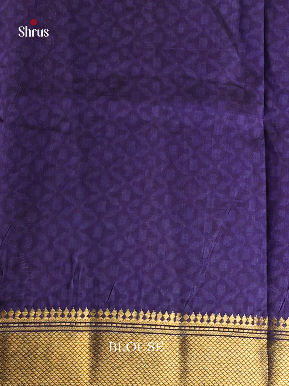 Light Brown & Blue - Semi Patola Saree