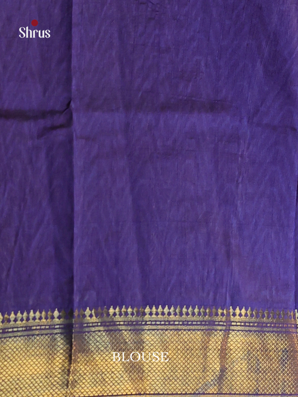Light Brown & Blue - Semi Patola Saree