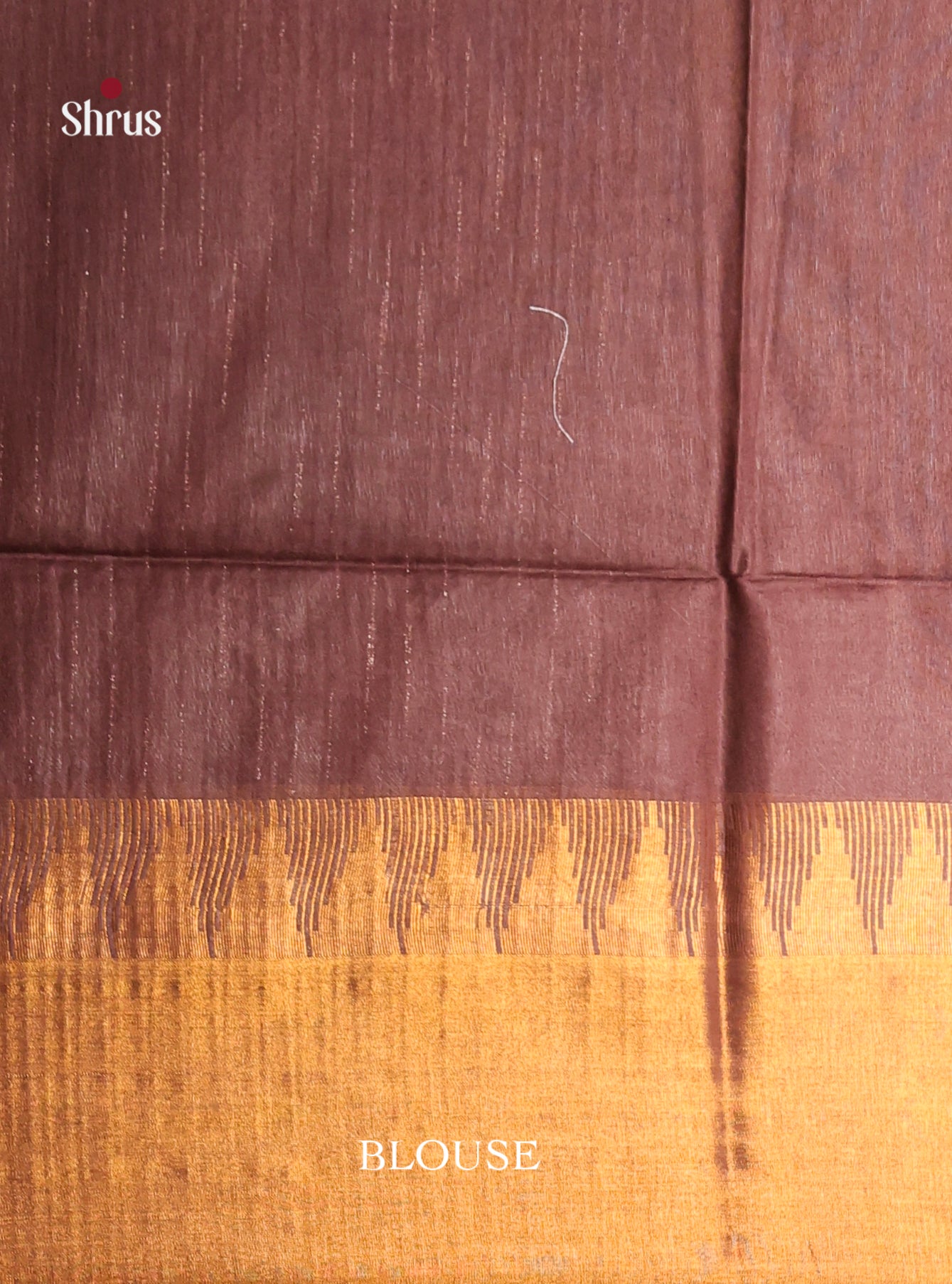 Beige & Brown - Semi Tussar Saree