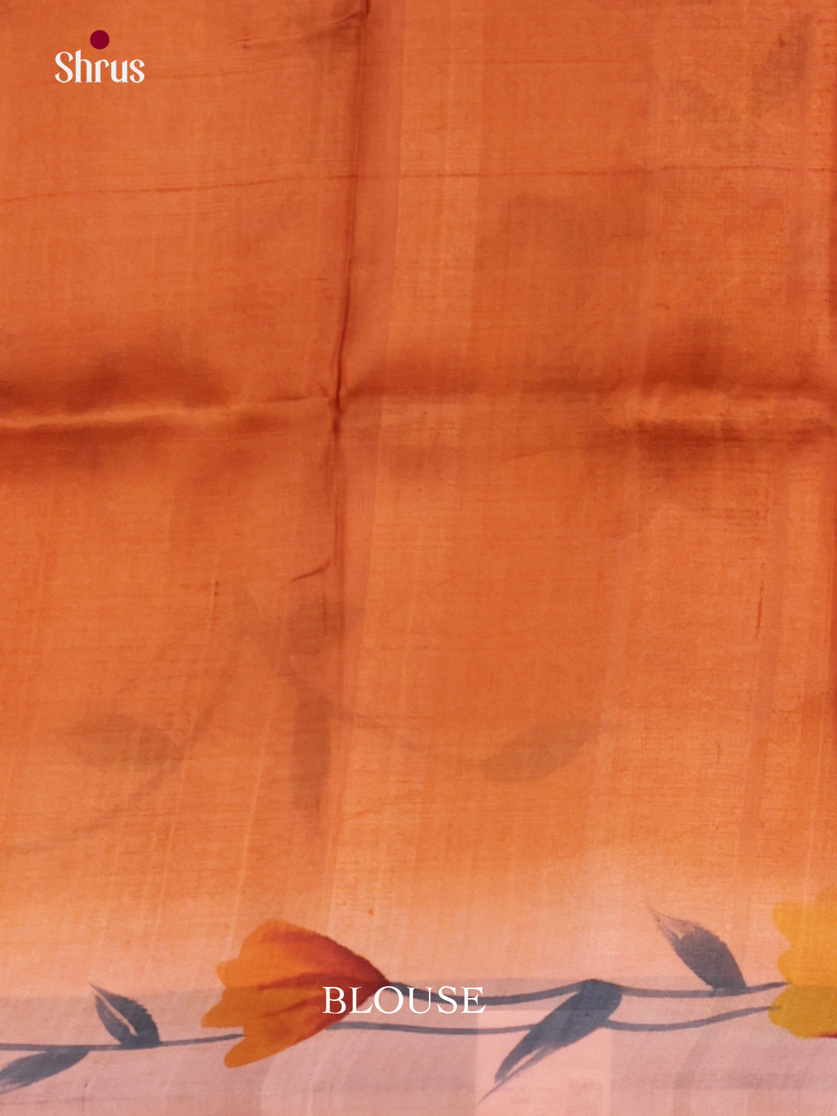 DIS24062 - Tussar Saree - Shop on Shrus.com