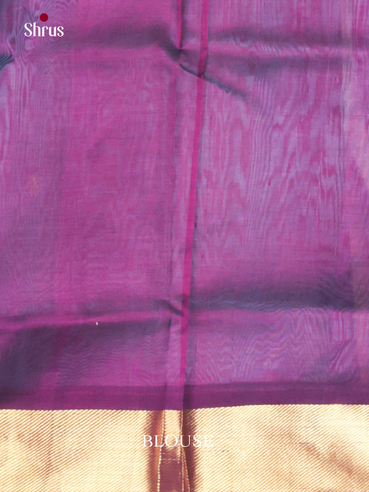 DIS24192 - Silk Cotton Saree - Shop on Shrus.com