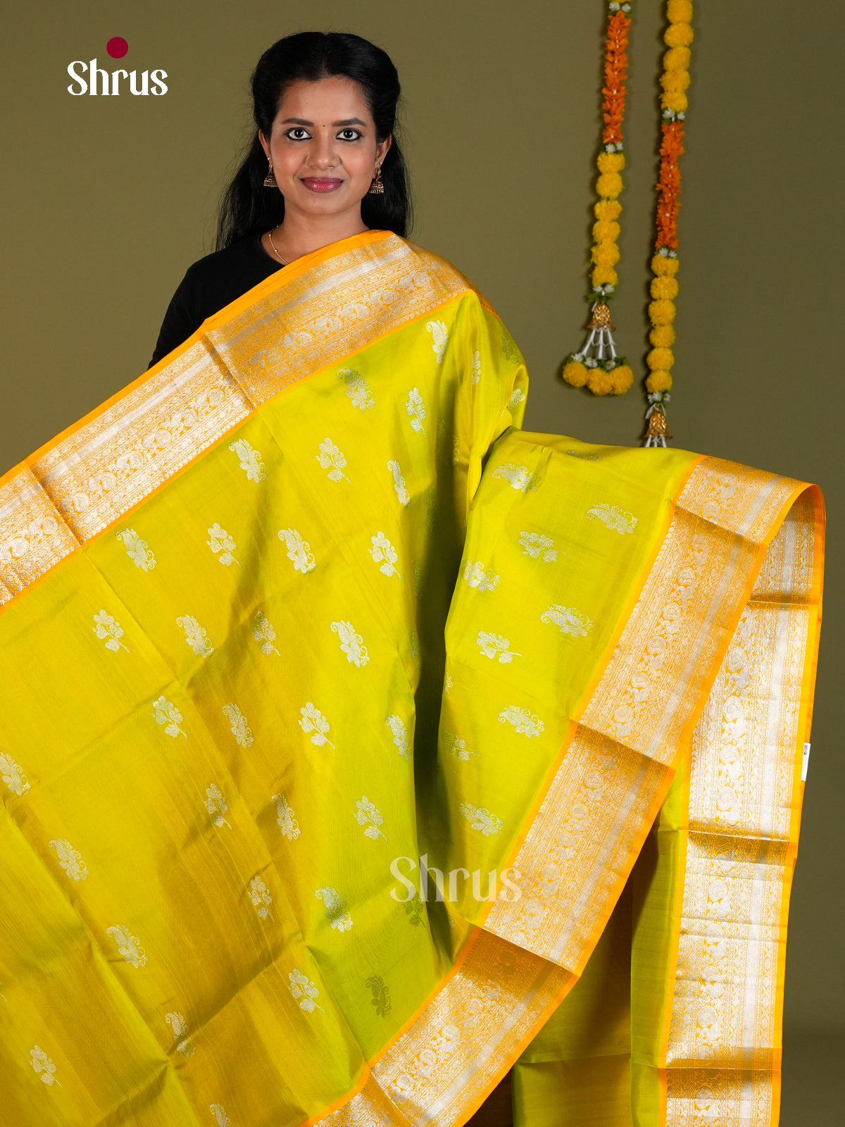 DIS24305 - Venkatagiri silk Saree - Shop on Shrus.com