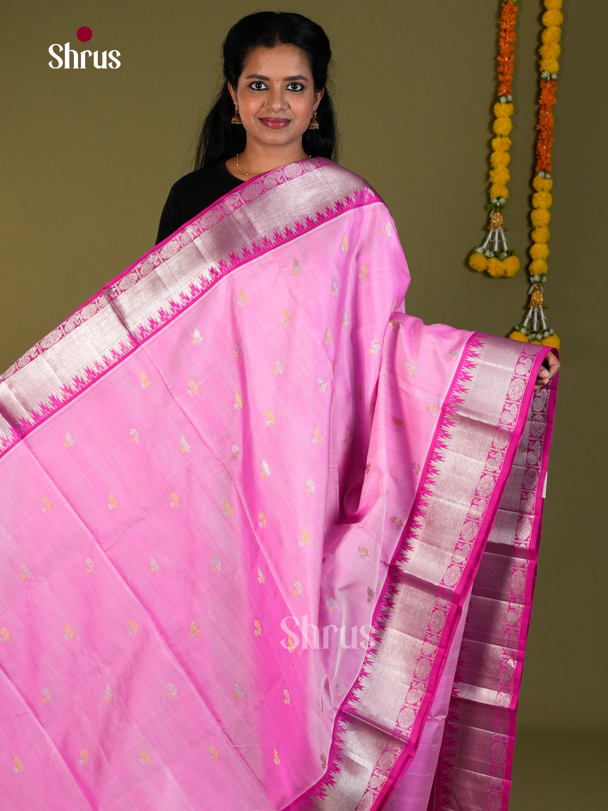 DIS24309 - Venkatagiri silk Saree - Shop on Shrus.com