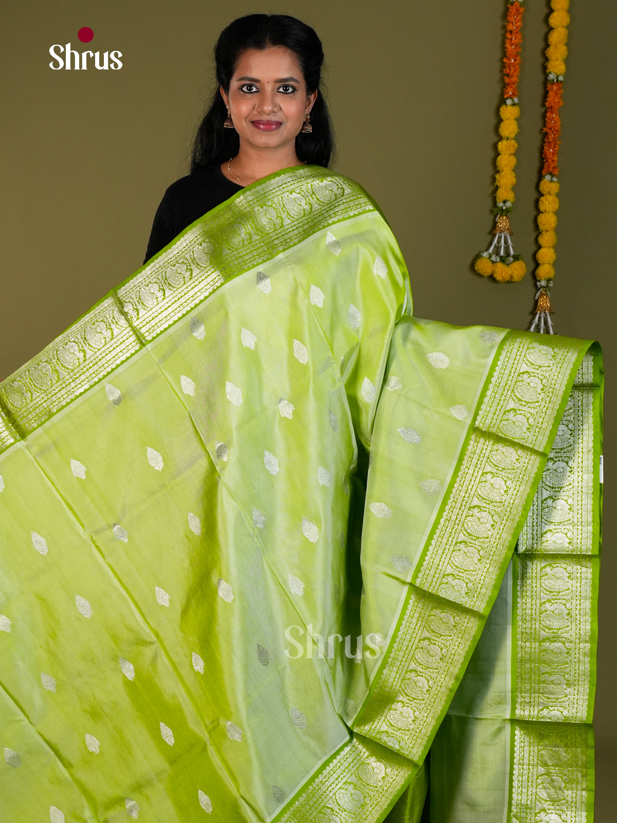 DIS24311 - Venkatagiri silk Saree - Shop on Shrus.com