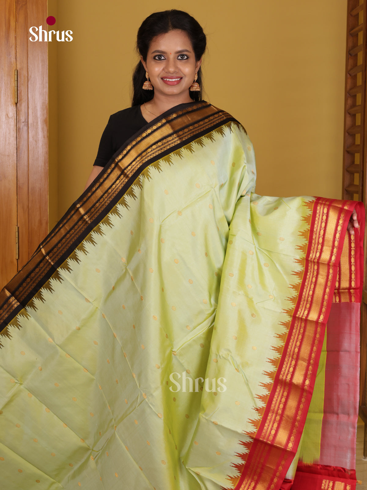 DIS24729 - Gadwal silk Saree