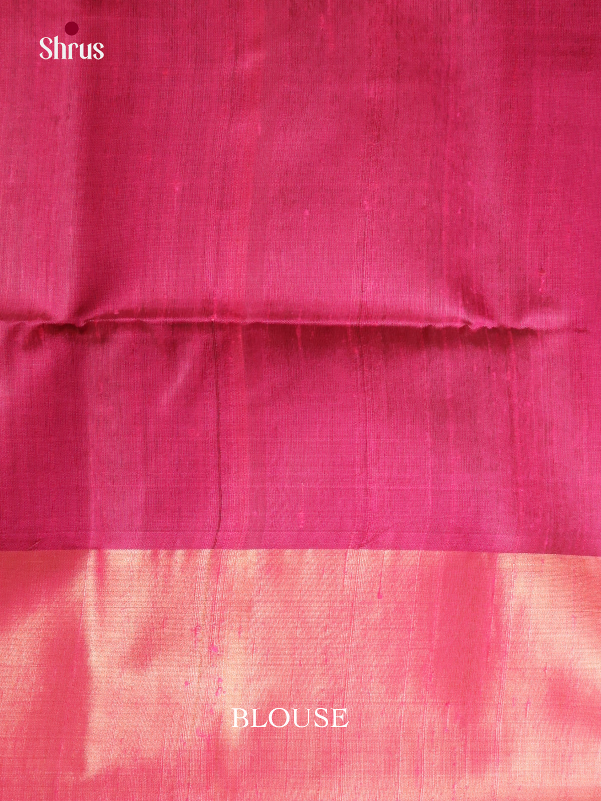 DIS24830 - Raw Silk Saree - Shop on Shrus.com