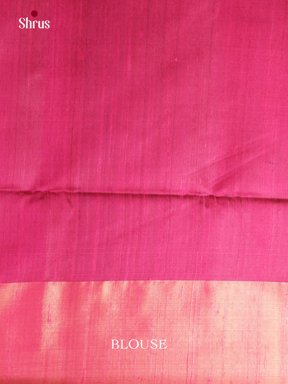 DIS24831 - Raw Silk Saree - Shop on Shrus.com