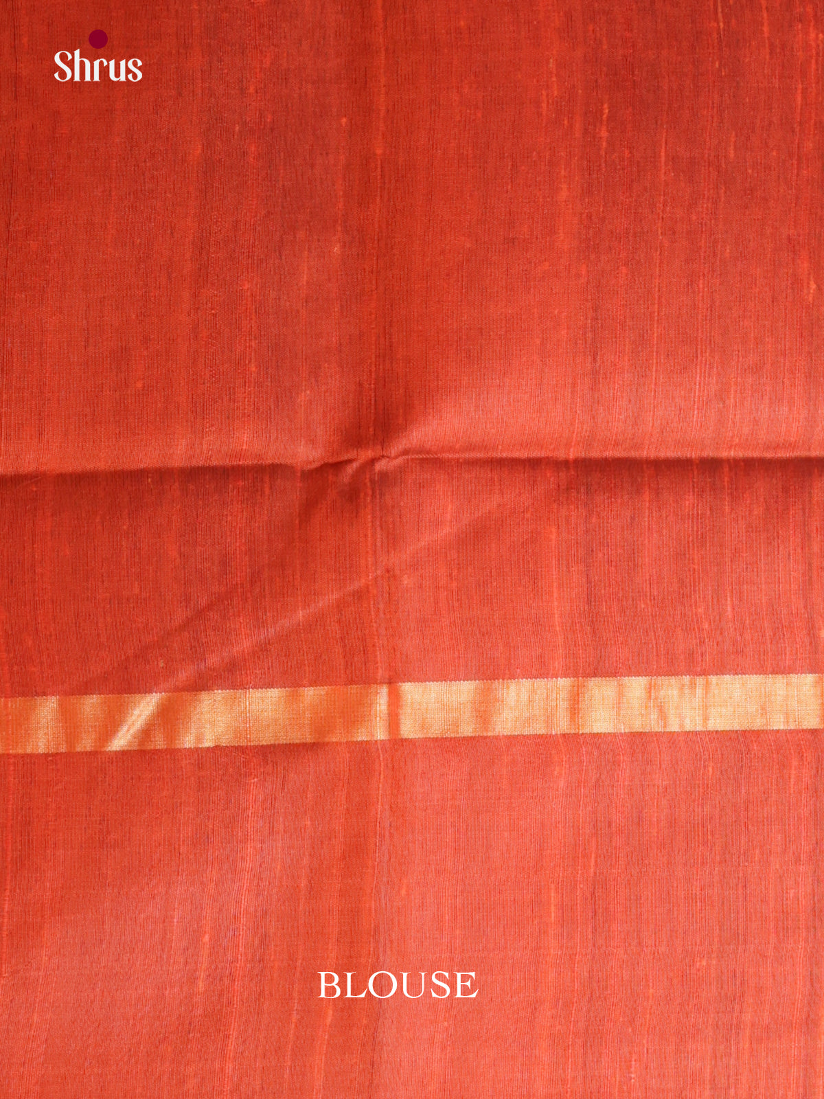 DIS24833 - Raw Silk Saree - Shop on Shrus.com