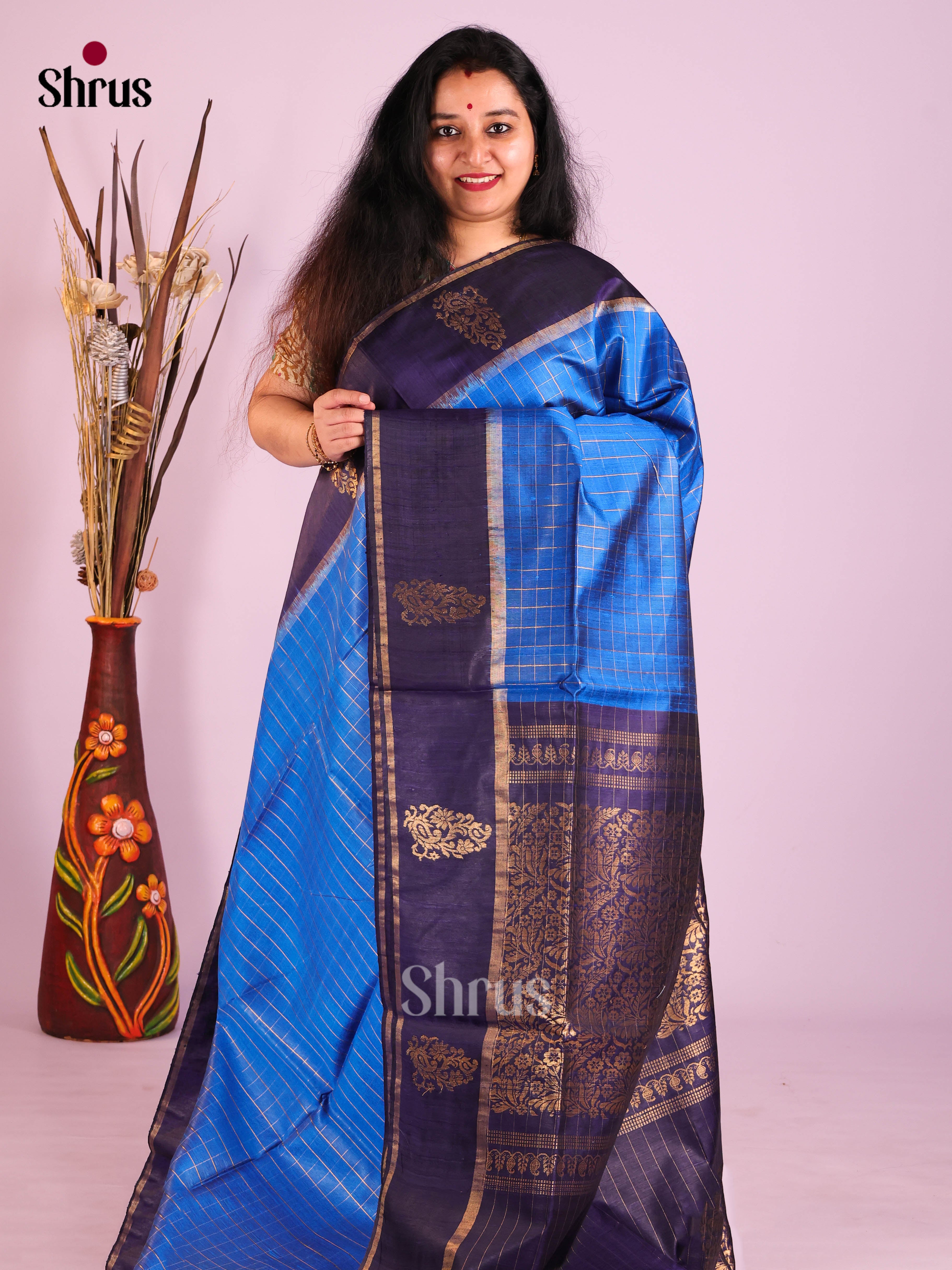 Blue & Navy Blue - Raw Silk Saree
