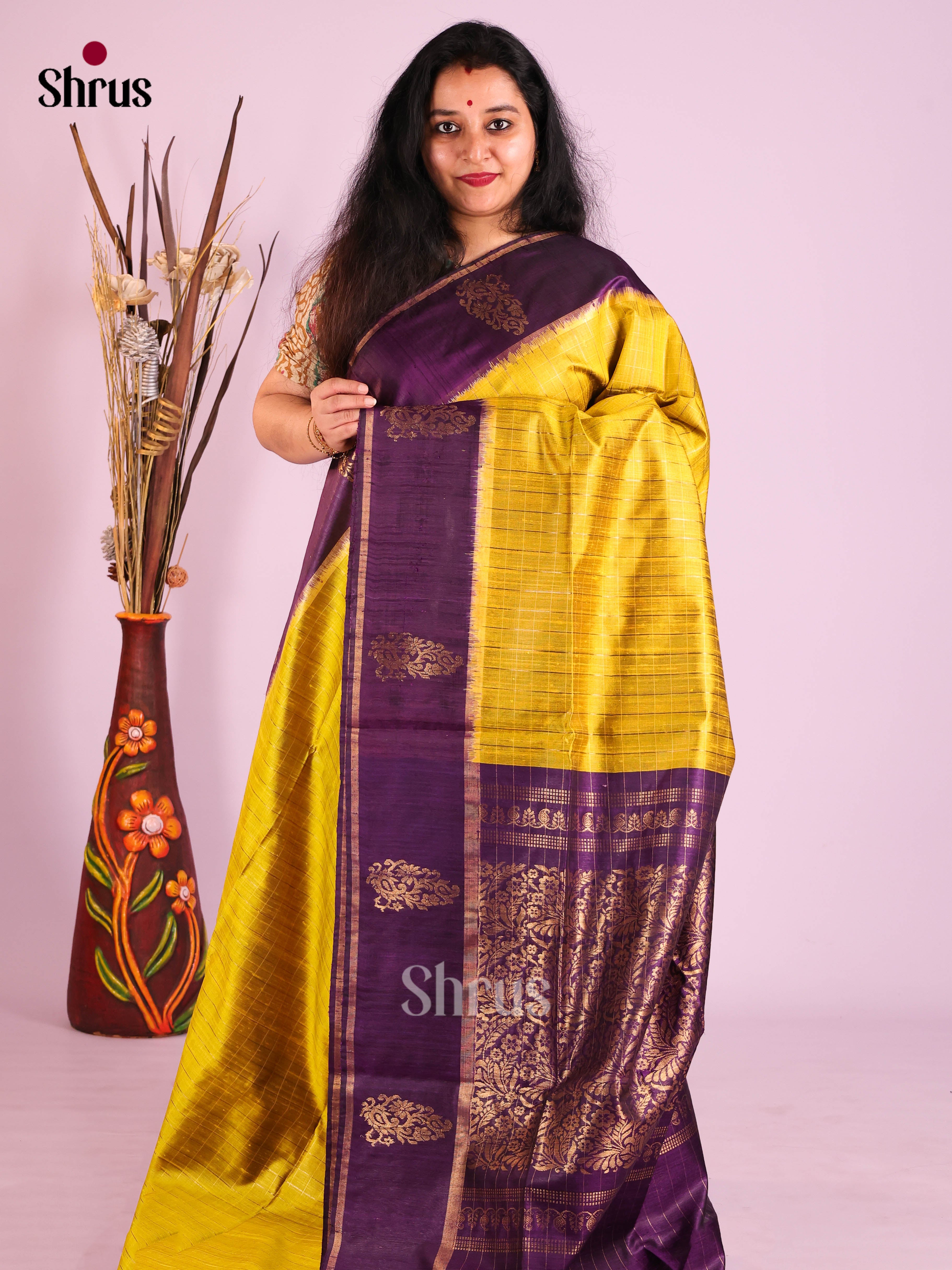 DIS24896 - Raw Silk Saree - Shop on Shrus.com