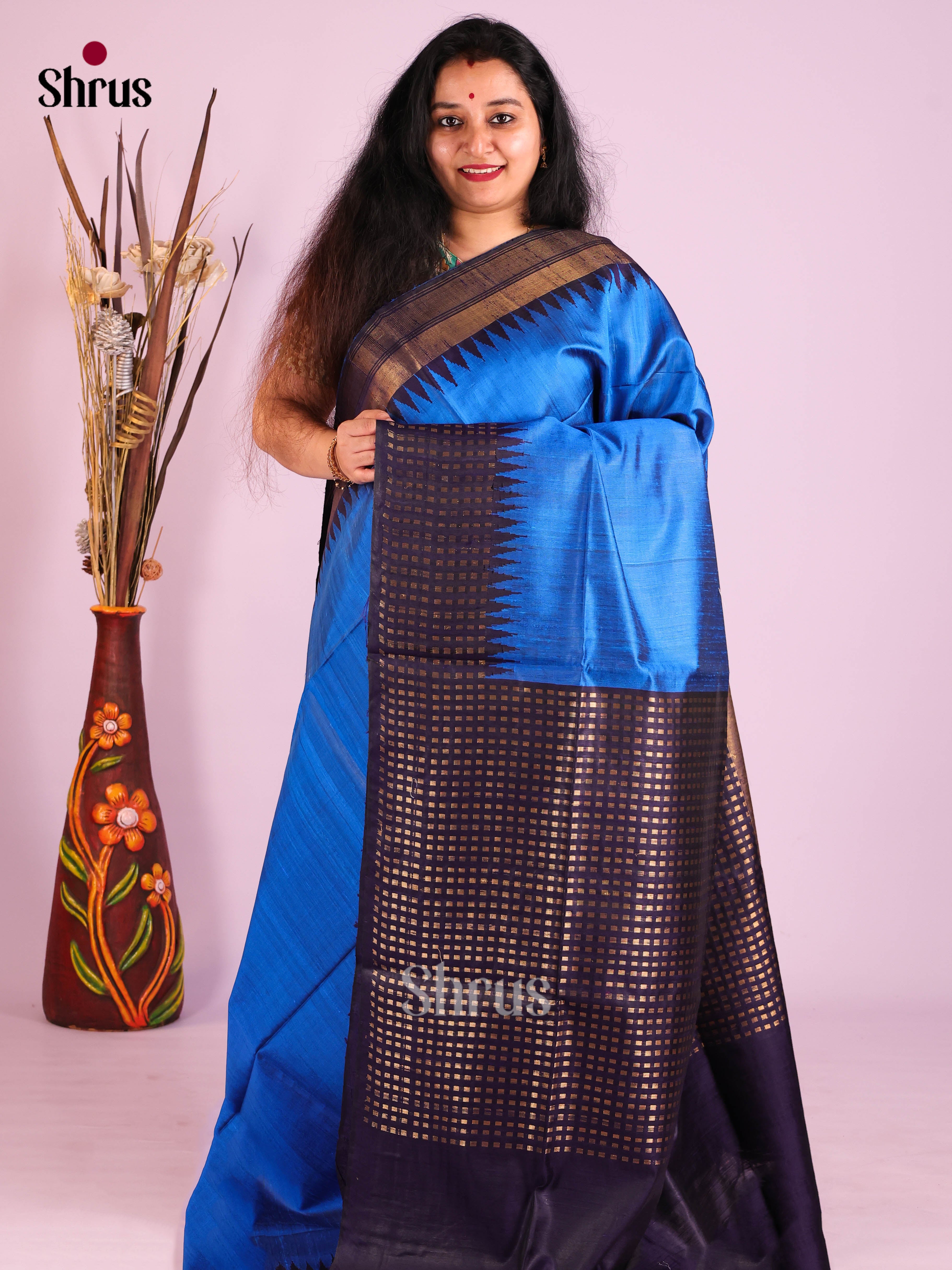 Blue & Navy Blue - Raw Silk Saree