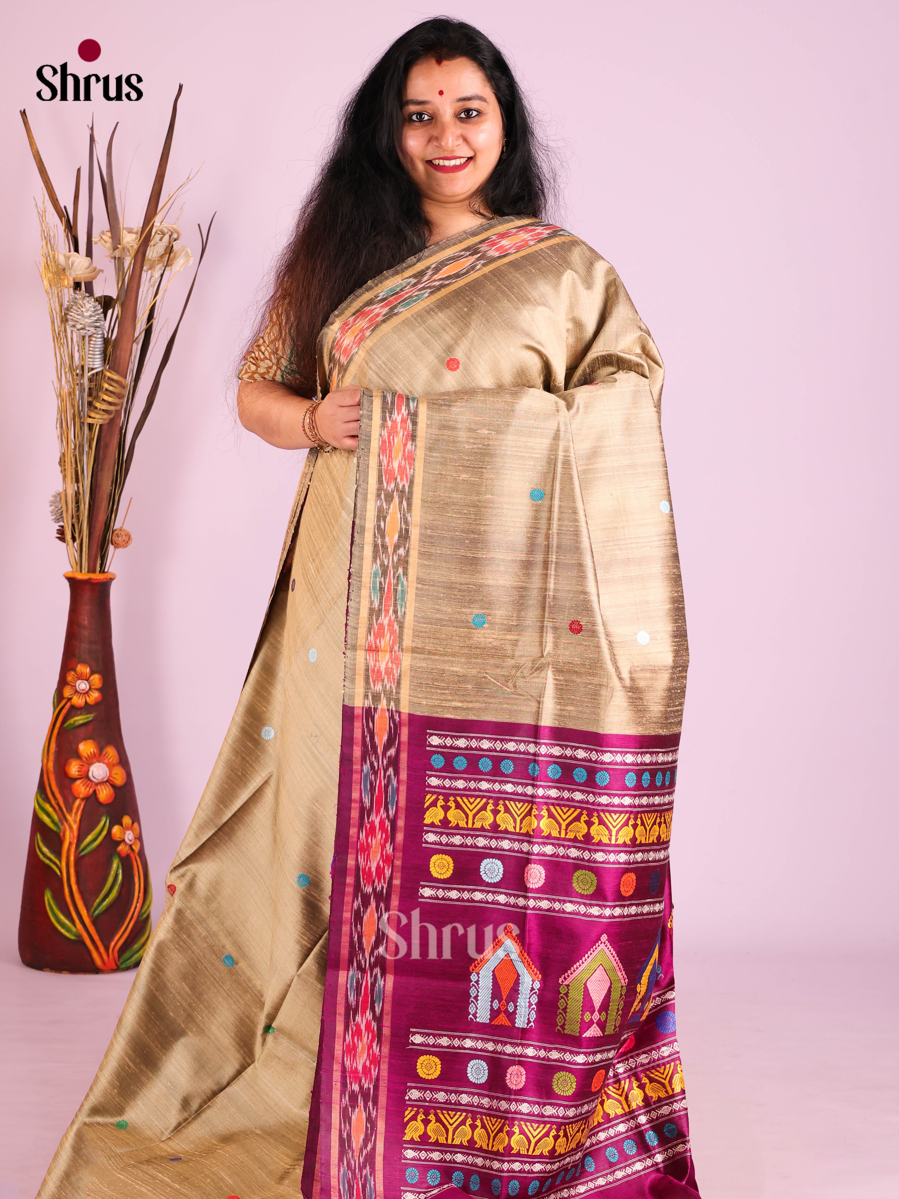 DIS24911 - Raw Silk Saree - Shop on Shrus.com