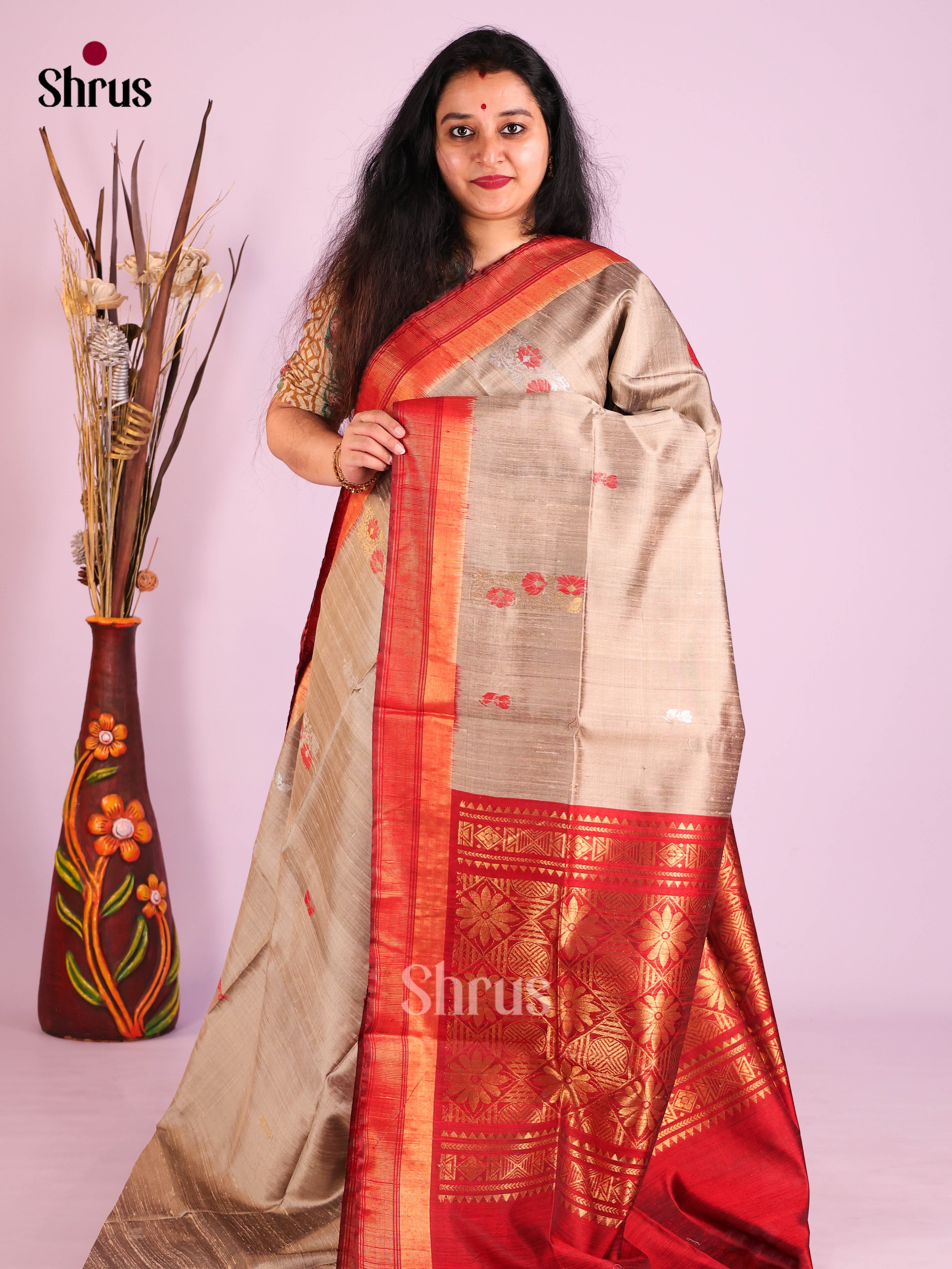 Grey & Red - Raw Silk Saree