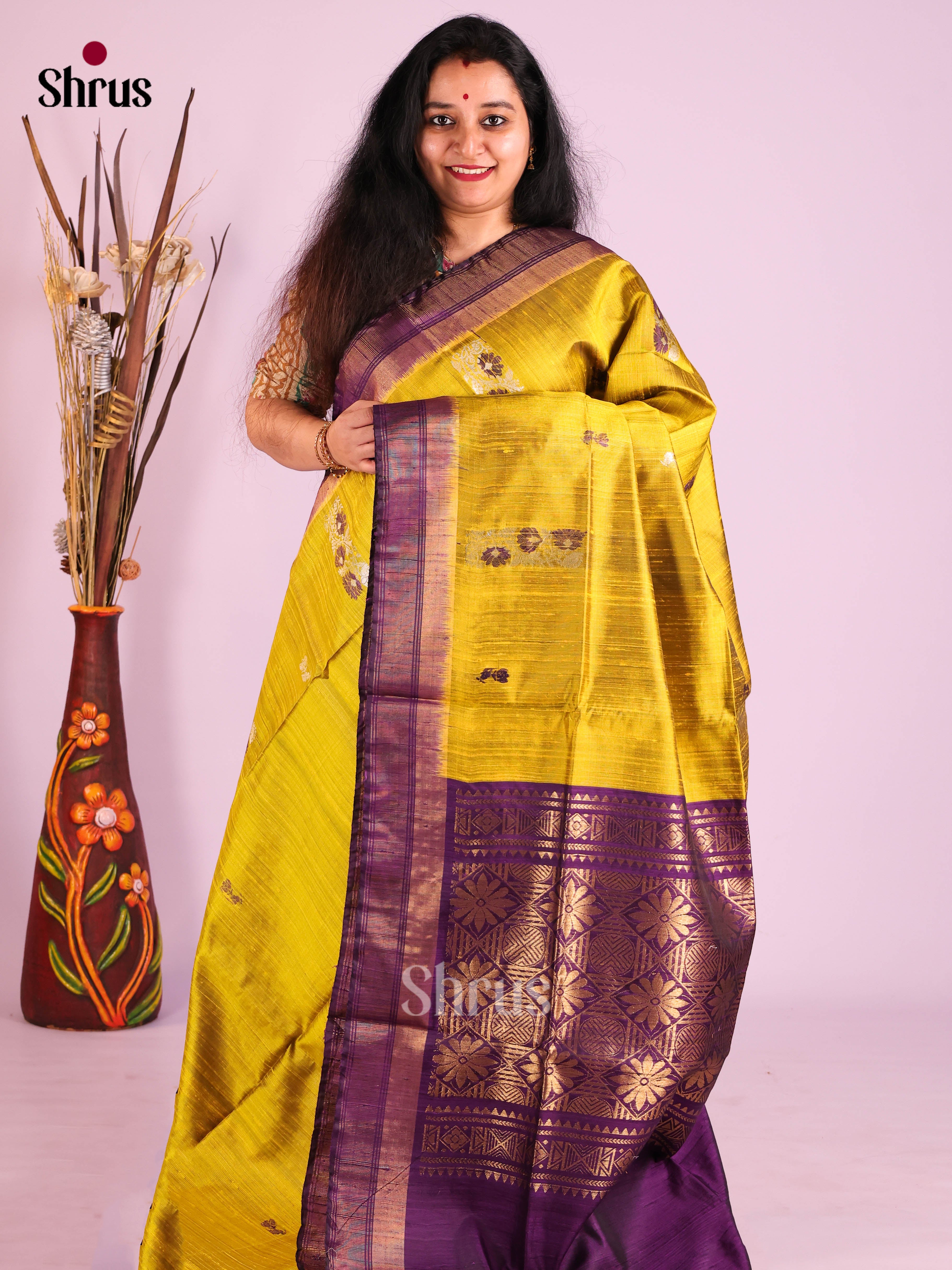 DIS24917 - Raw Silk Saree