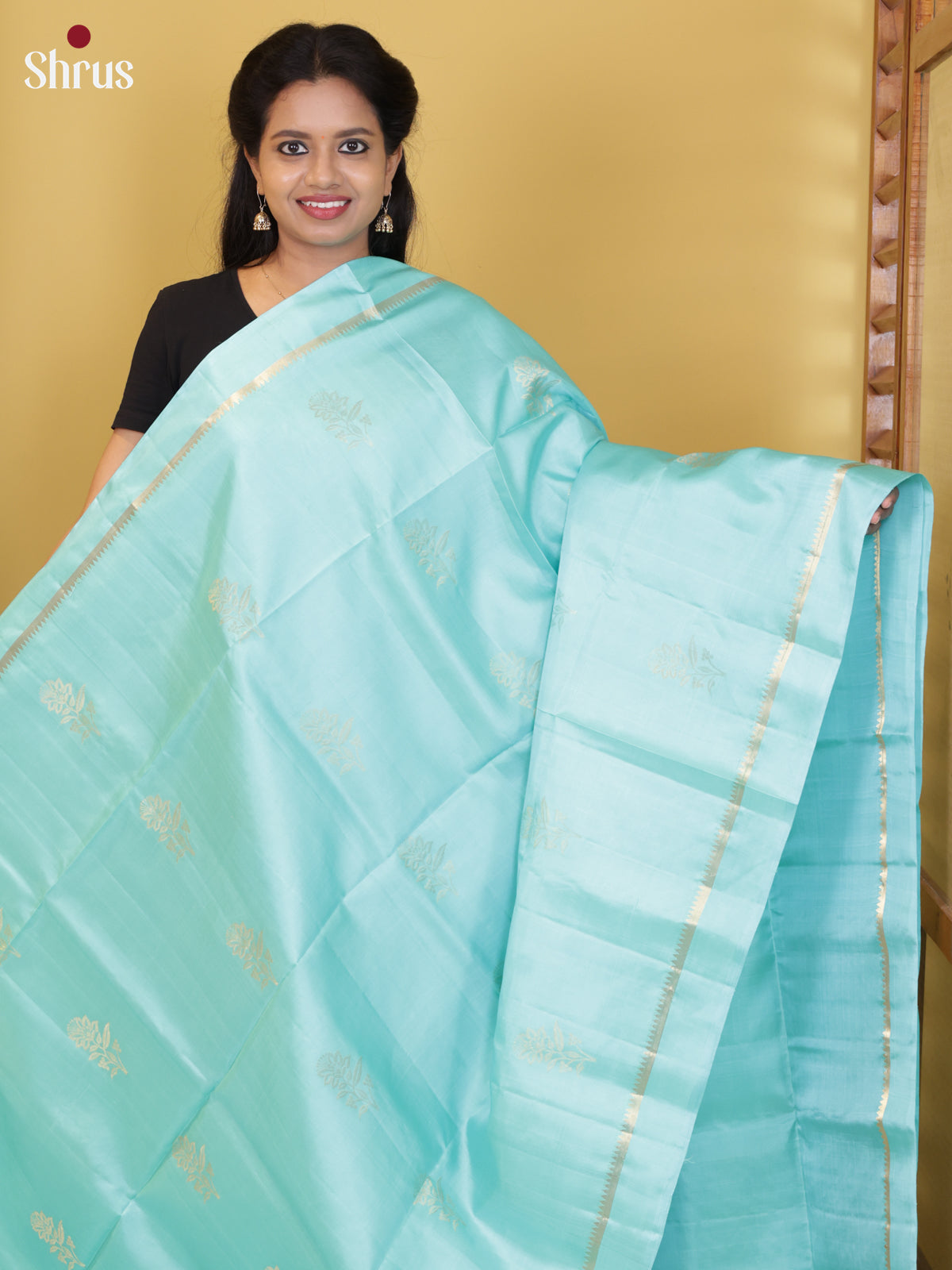 DIS26574 - Kanchipuram silk (HR) Saree - Shop on Shrus.com