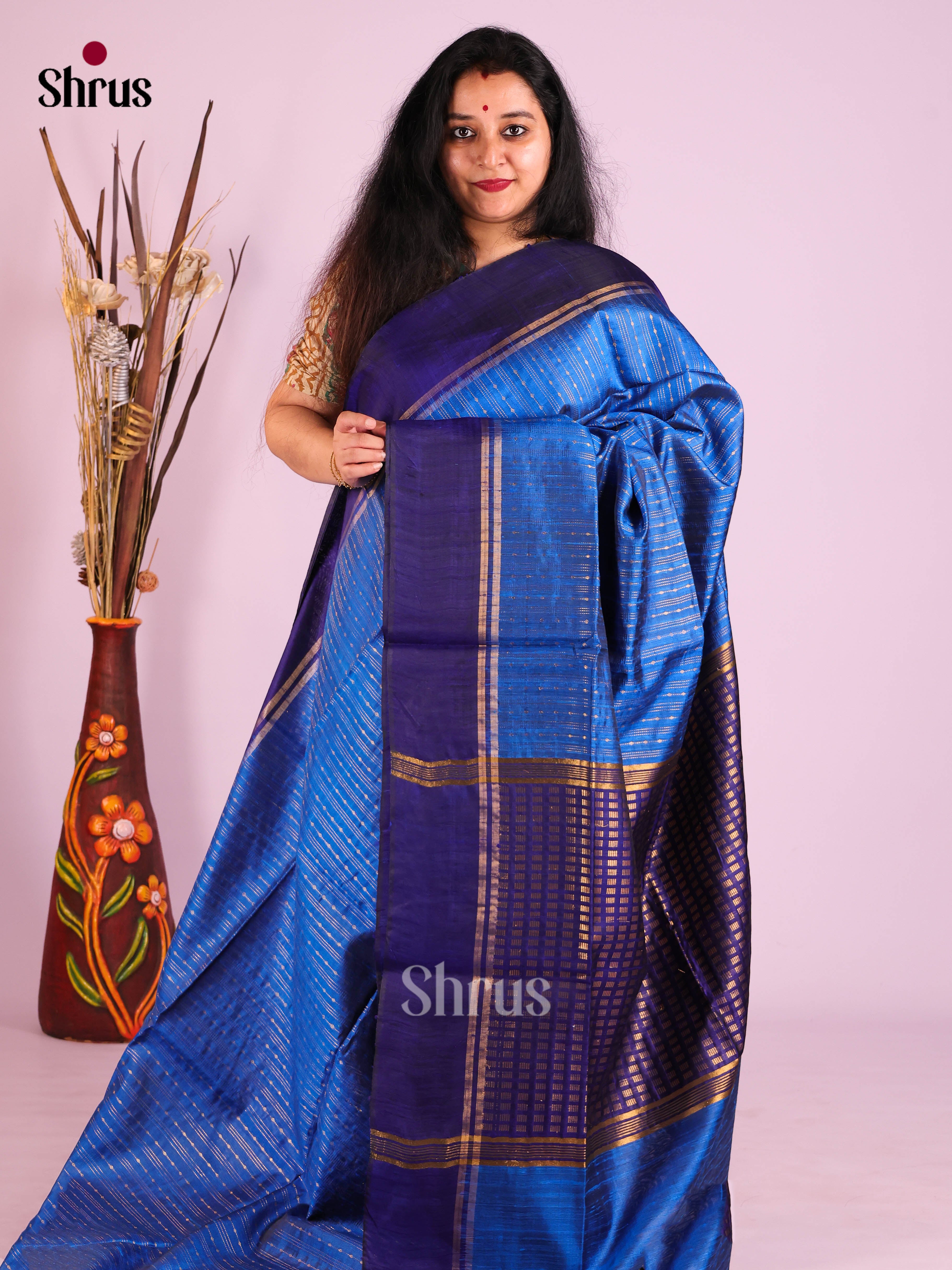 Blue & Navy Blue - Raw Silk Saree
