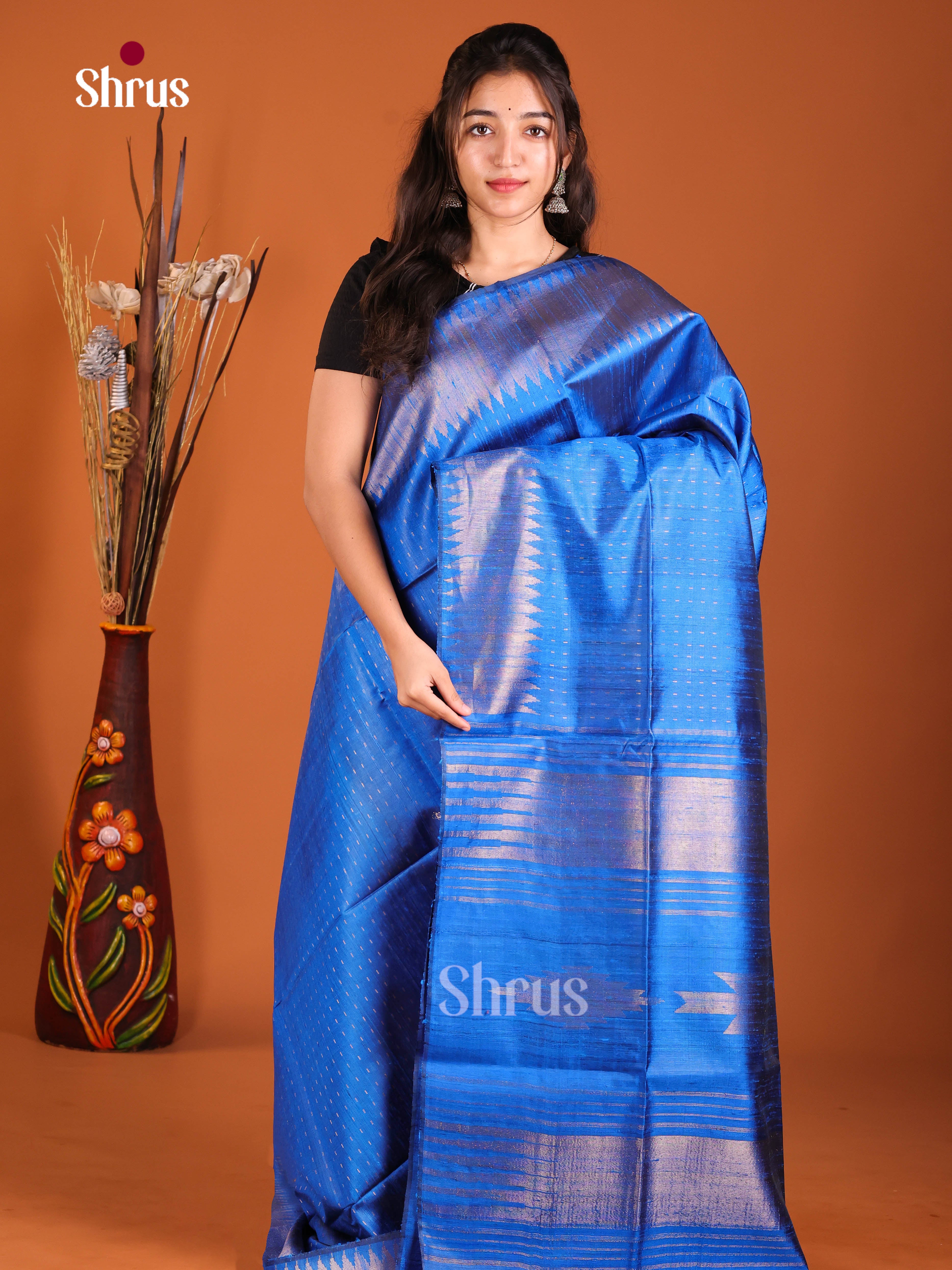 Regal Blue Raw Silk Saree with Zari Elegance
