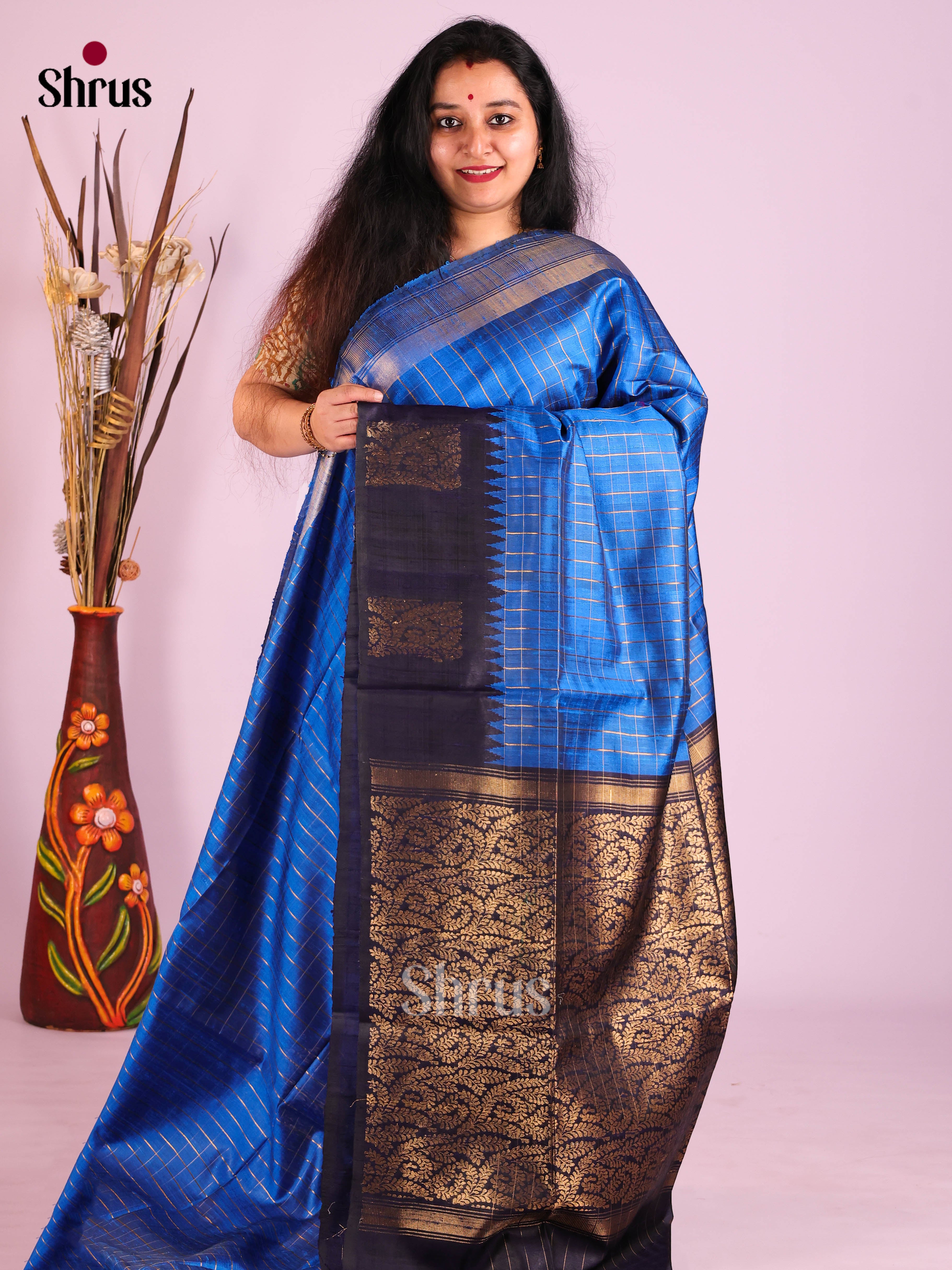 Blue & Navy Blue - Raw Silk Saree