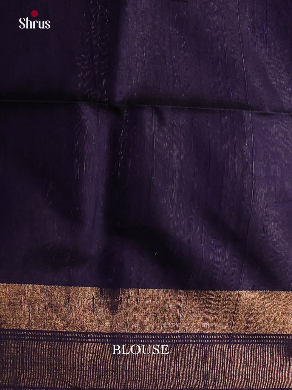 DIS27040 - Raw Silk Saree - Shop on Shrus.com