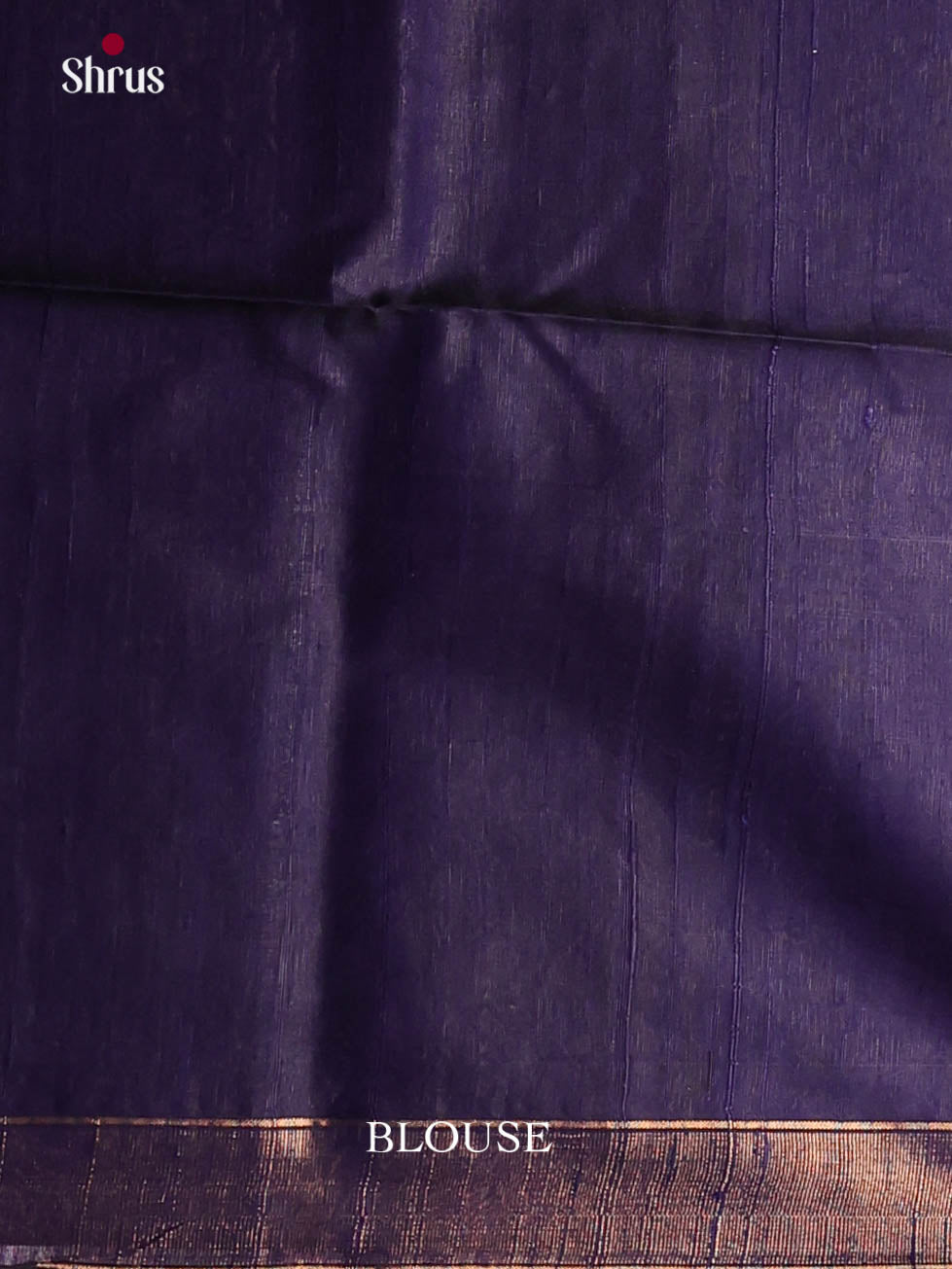 DIS27061 - Raw Silk Saree - Shop on Shrus.com