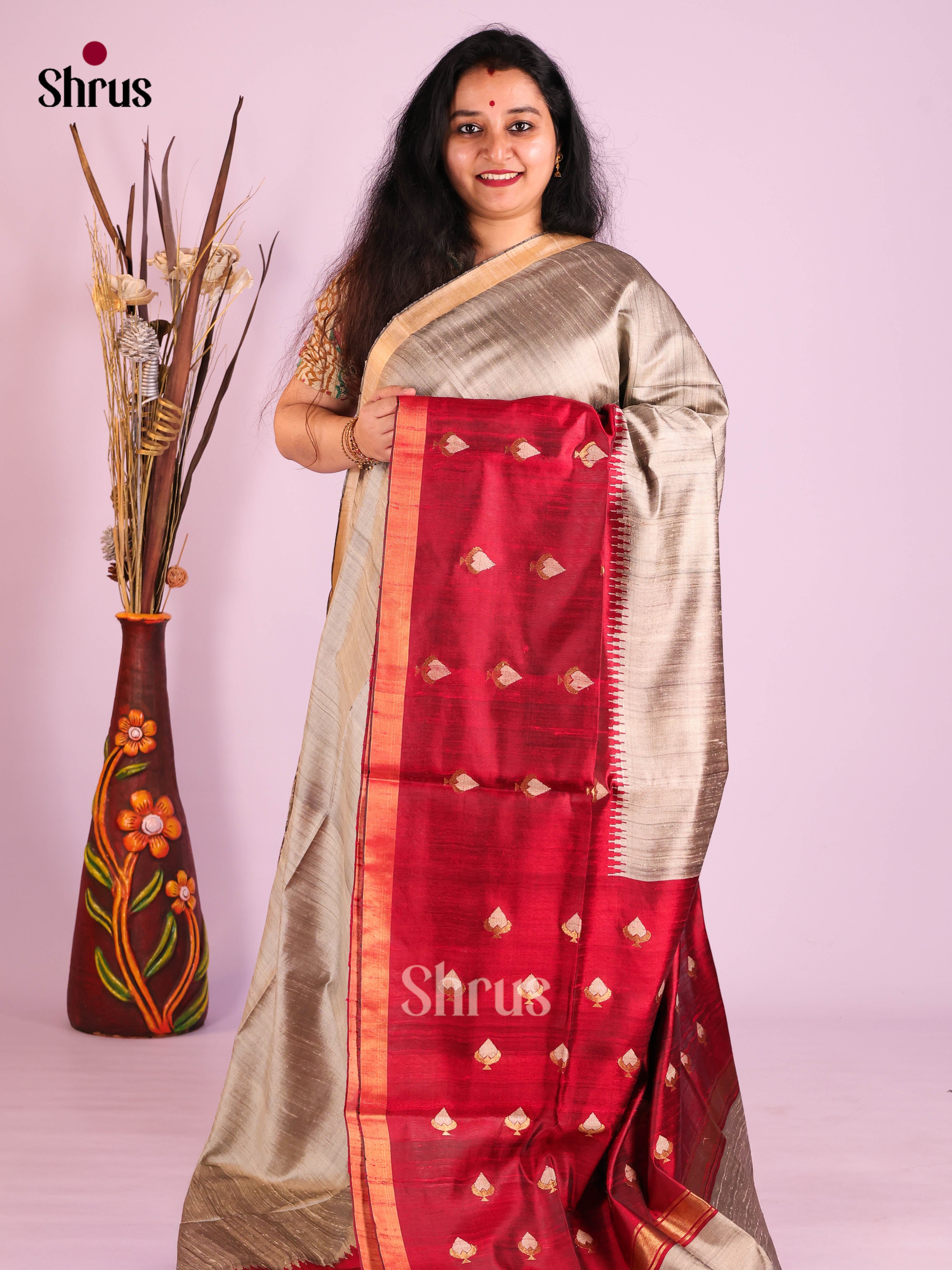 DIS27063 - Raw Silk Saree - Shop on Shrus.com