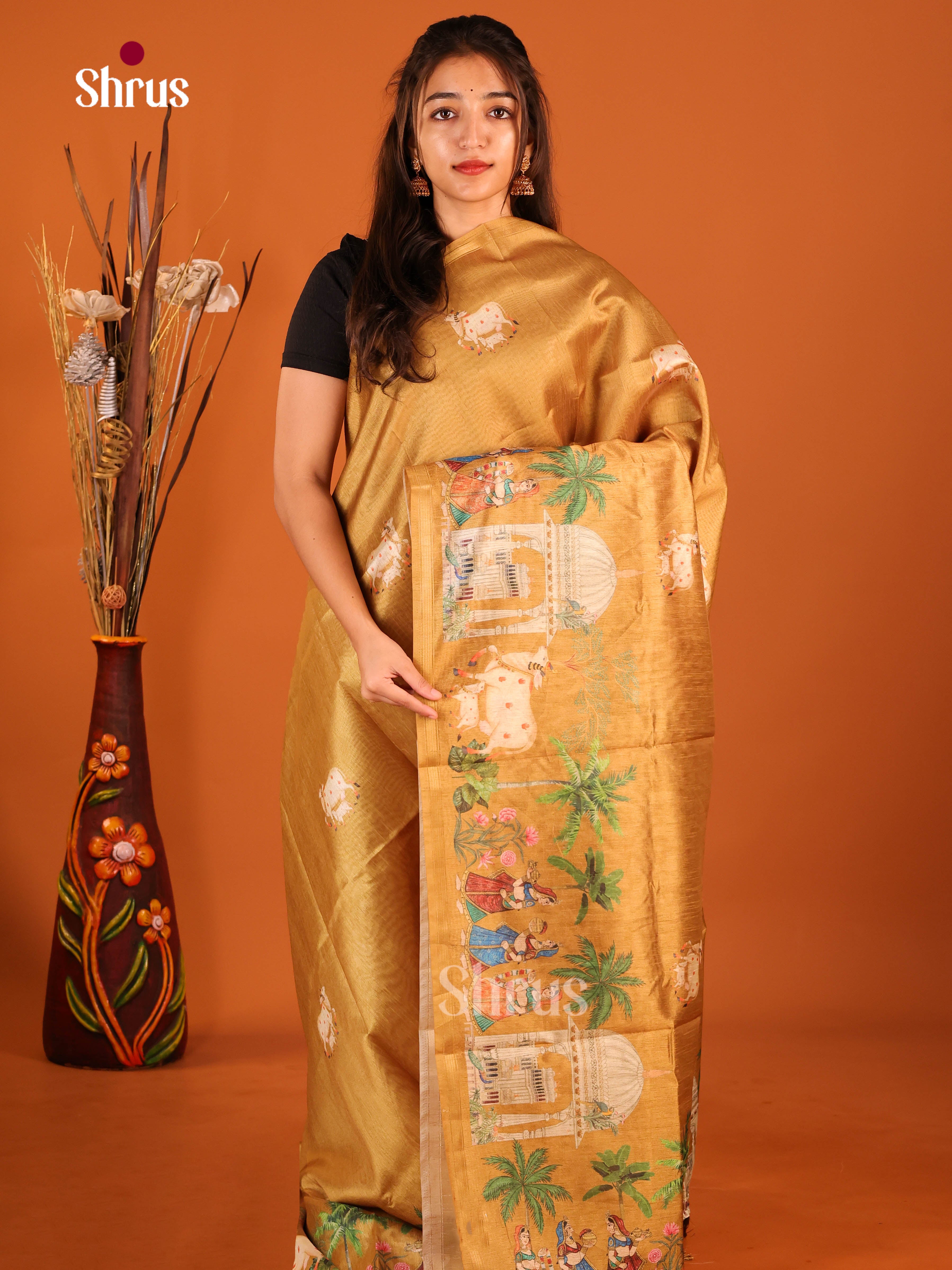DIS29034 - Semi Chanderi Saree