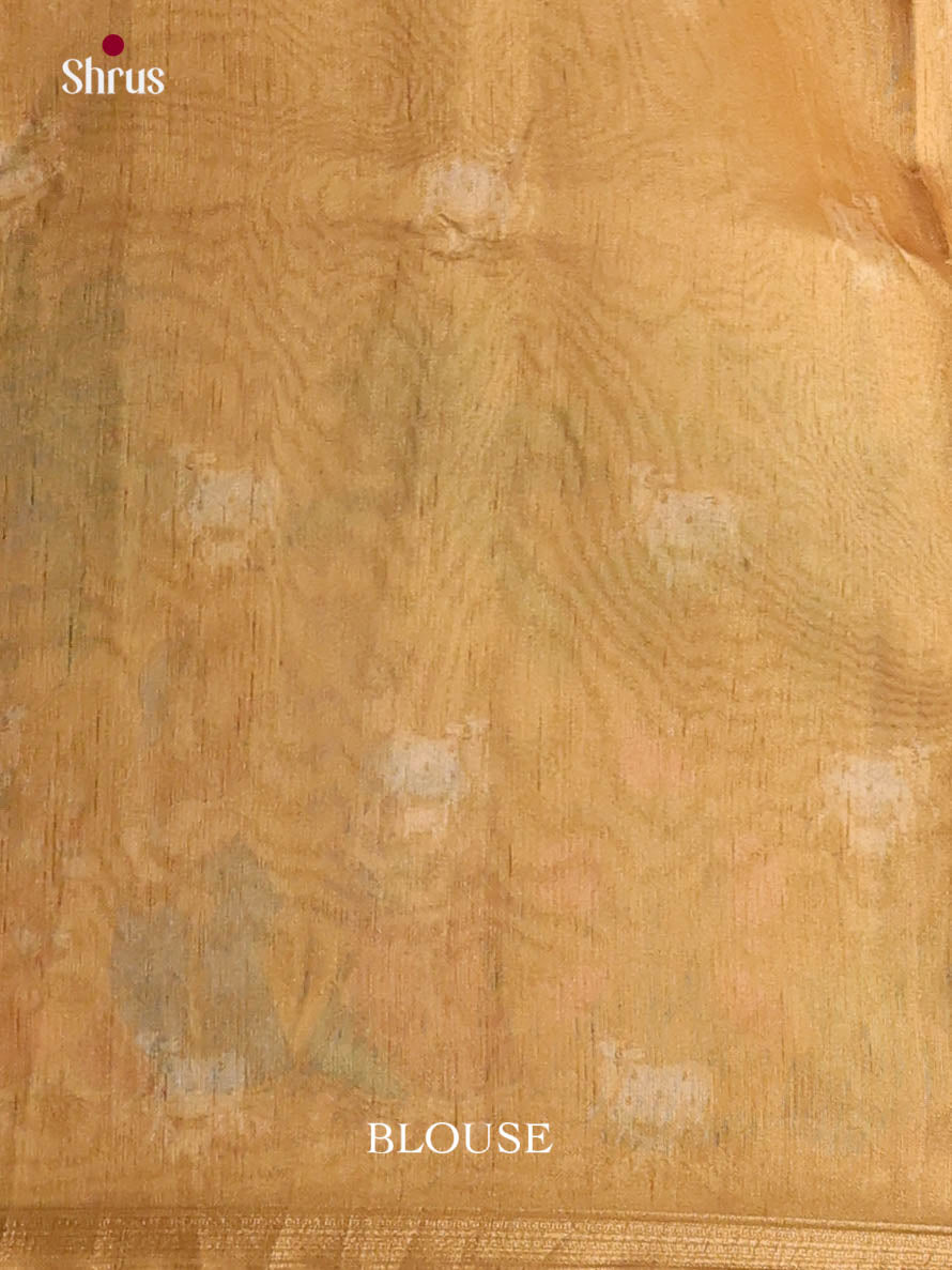 DIS29034 - Semi Chanderi Saree