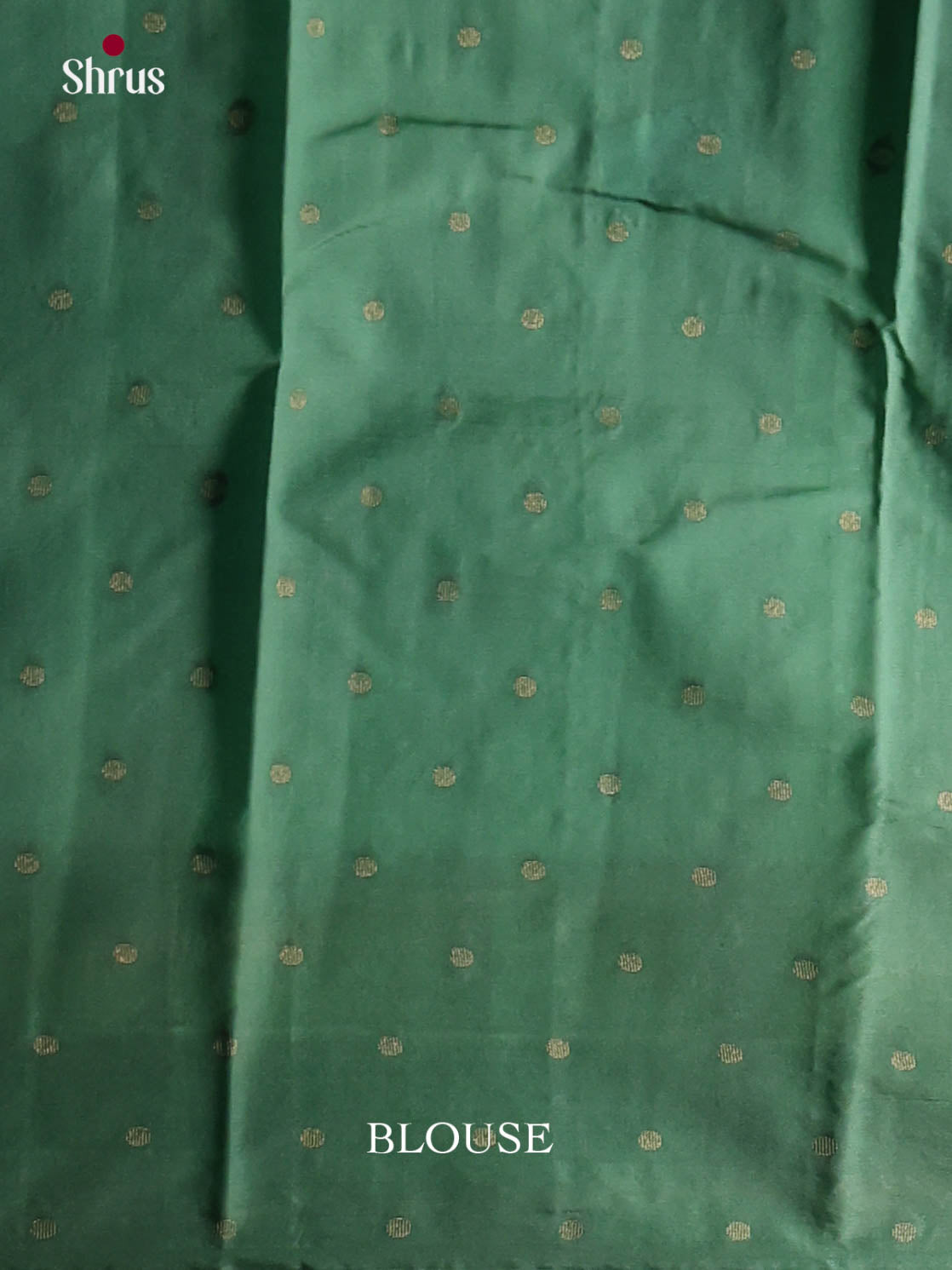 Pastel green - Semi Rawsilk Saree