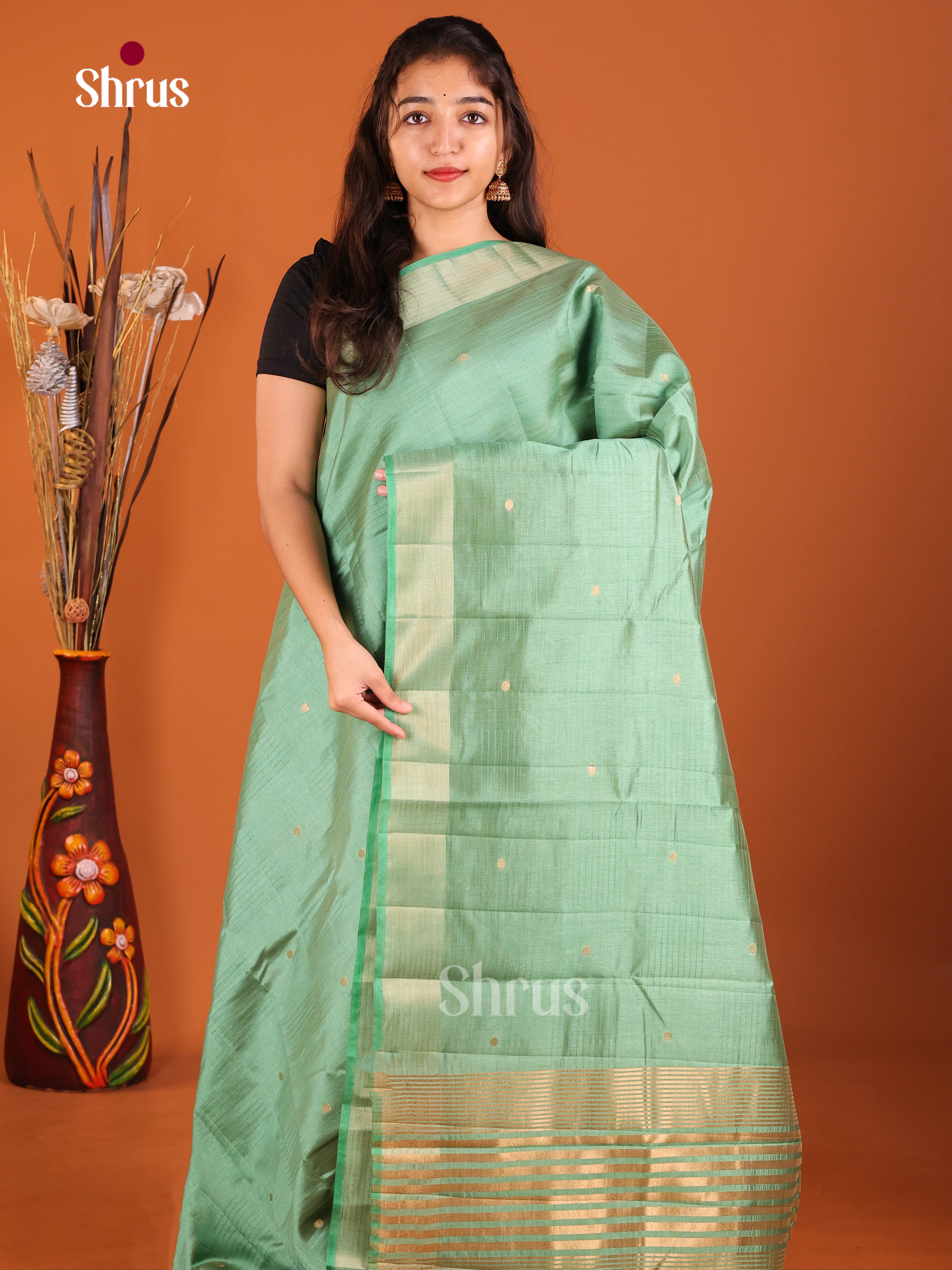 Pastel Green - Semi Rawsilk Saree