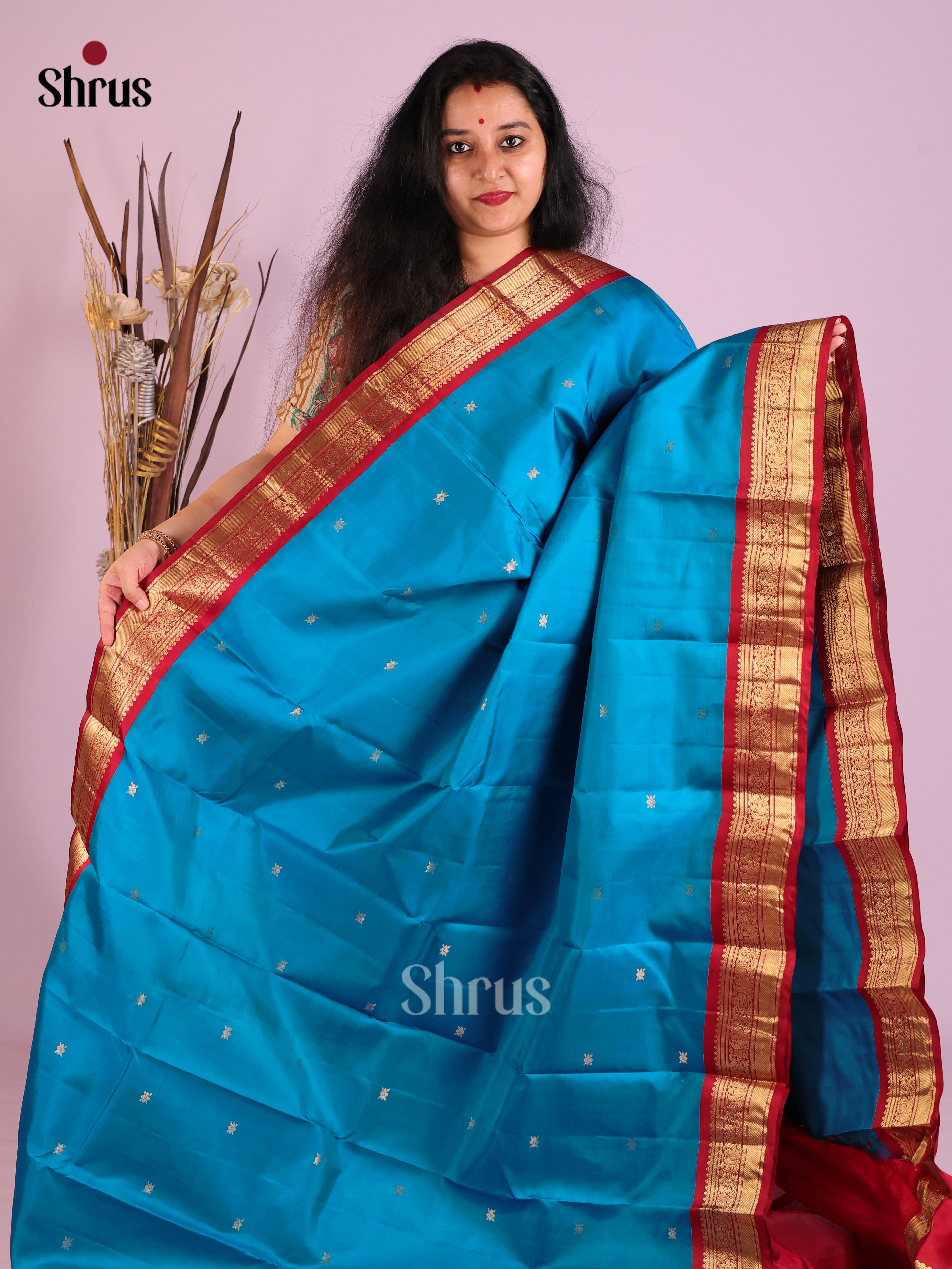 Serene Blue Kanjivaram Saree with golden floral buttas & Red Zari woven Border 1