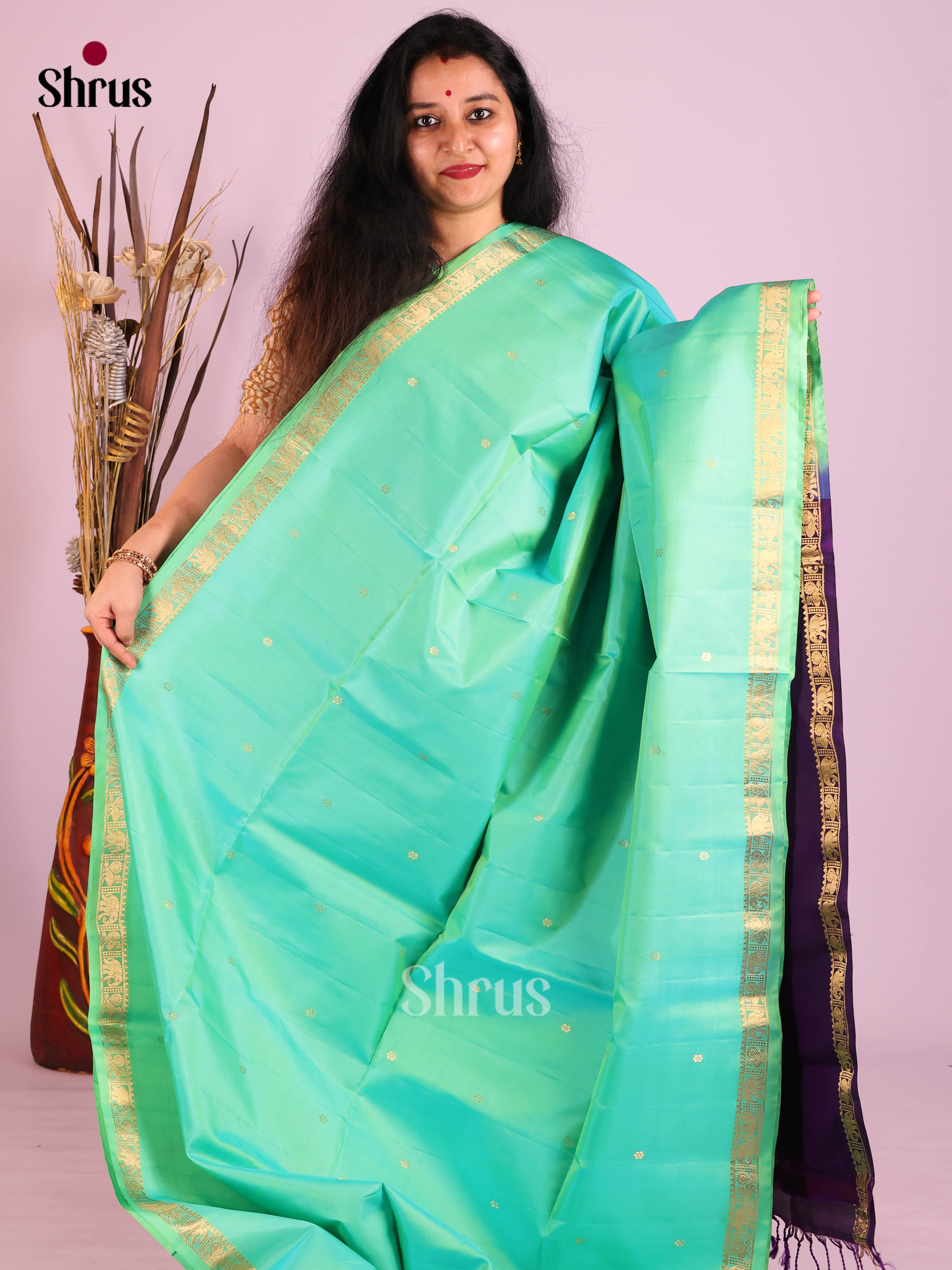 Pastel Green & Violet Soft Silk Saree gleams with gold zari buttas , brocade pallu - Shop on Shrus.com