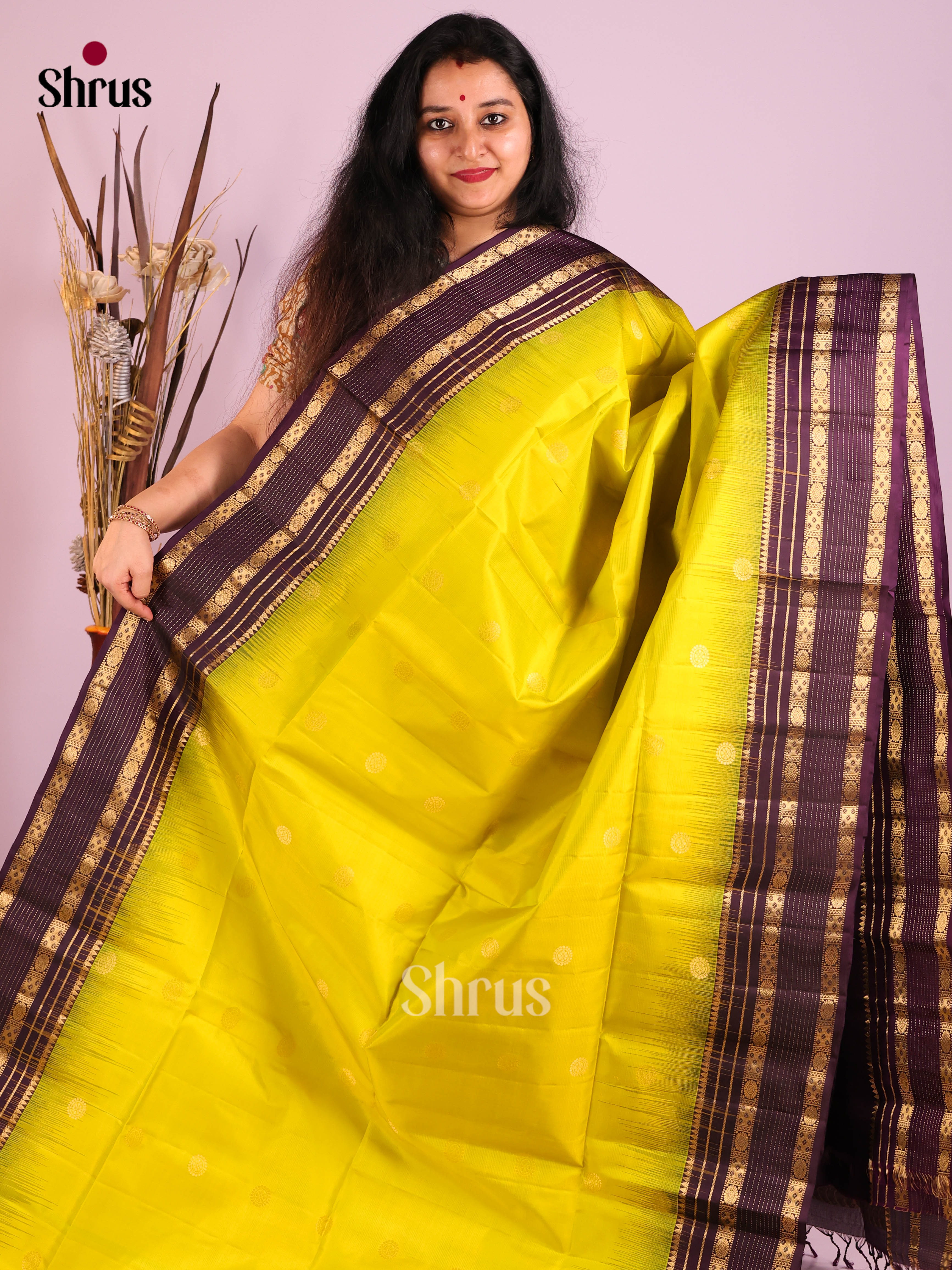 DIS30743 - Soft Silk (HR) Saree - Shop on Shrus.com
