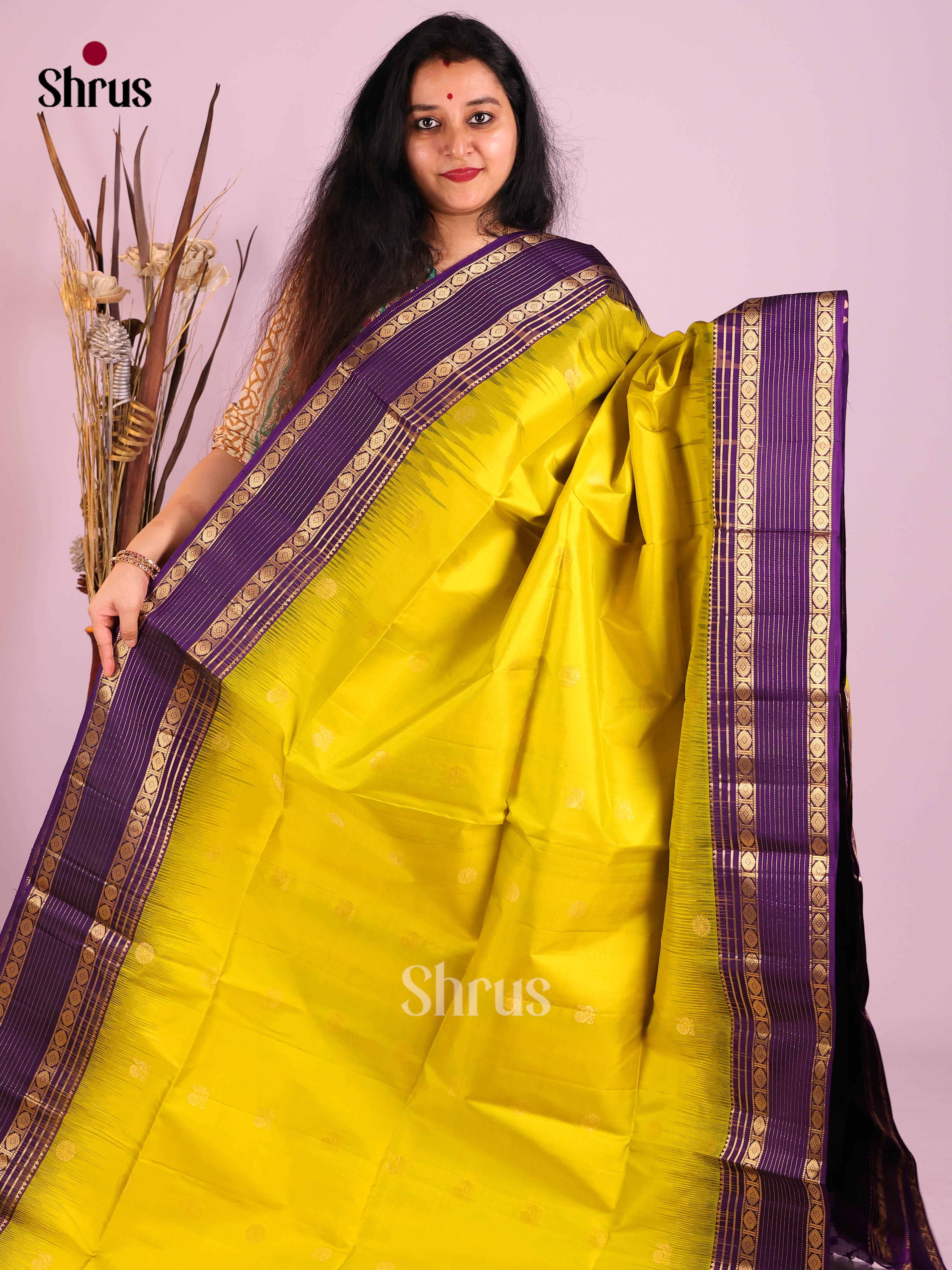 DIS30744 - Soft Silk (HR) Saree - Shop on Shrus.com