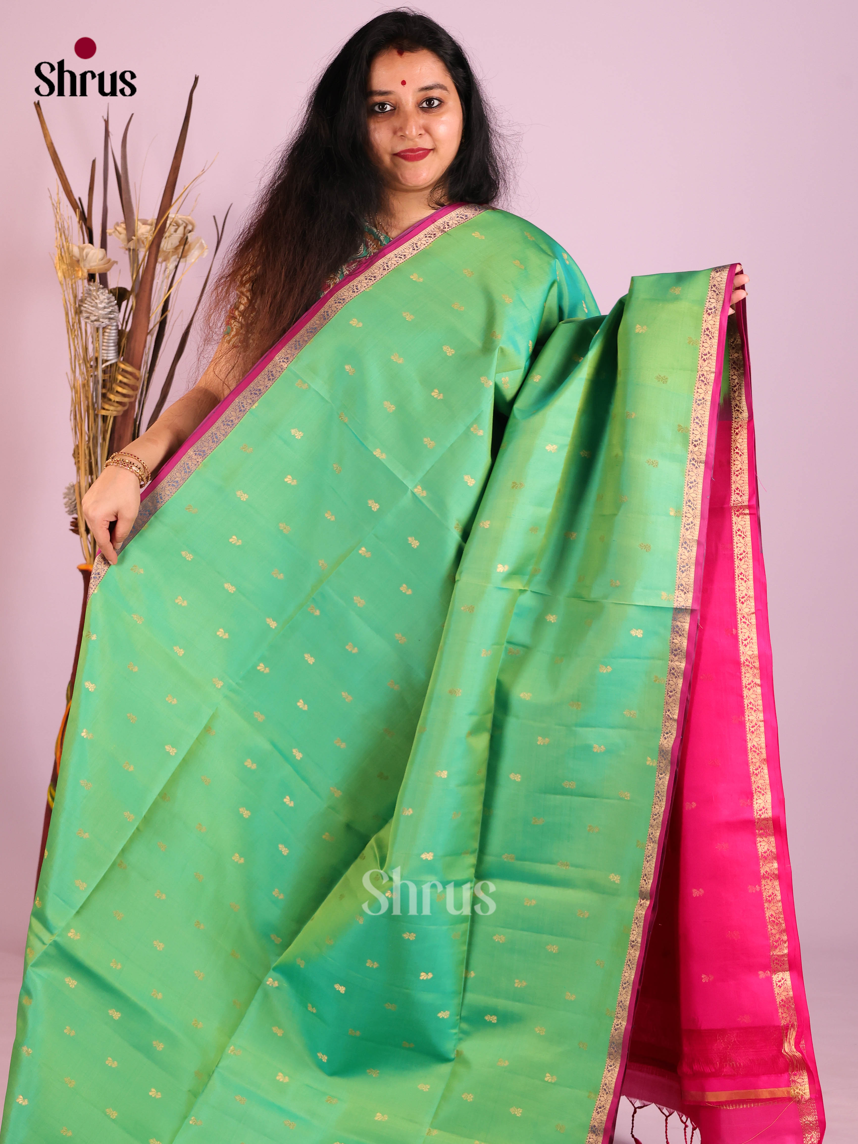 Chic Pista Green Soft Silk Saree with zari buttas & Magenta Brocade Pallu 1