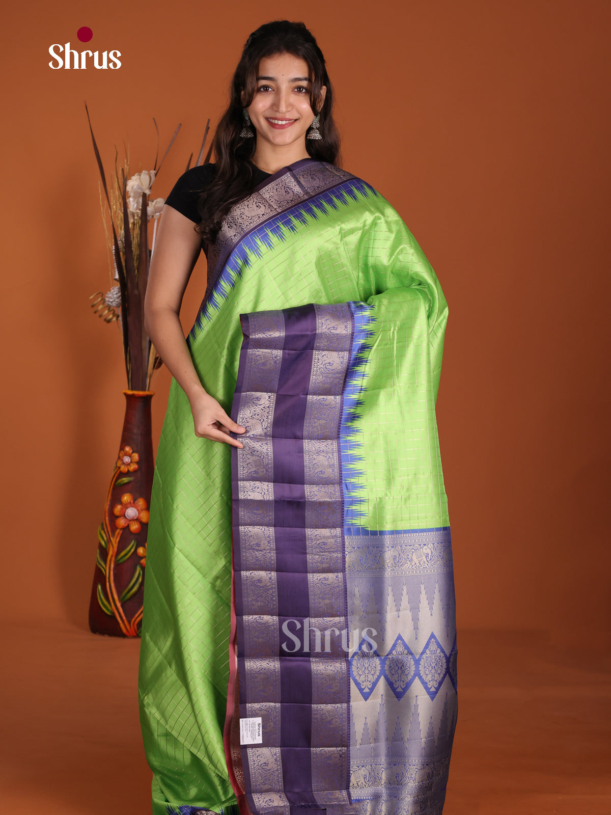 Light Green & Blue - Semi Dupion Saree