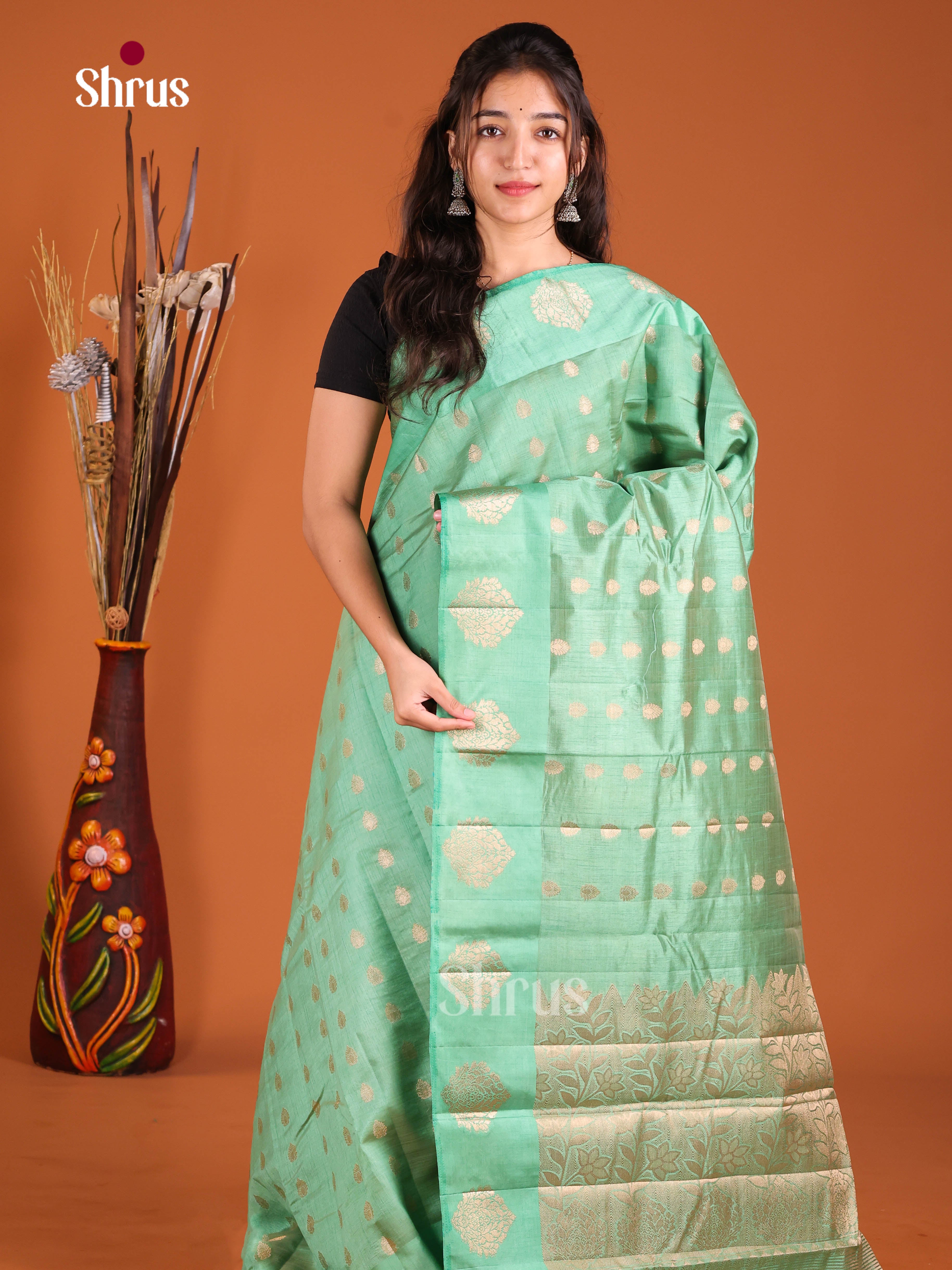 DJS03124 - Semi Rawsilk Saree