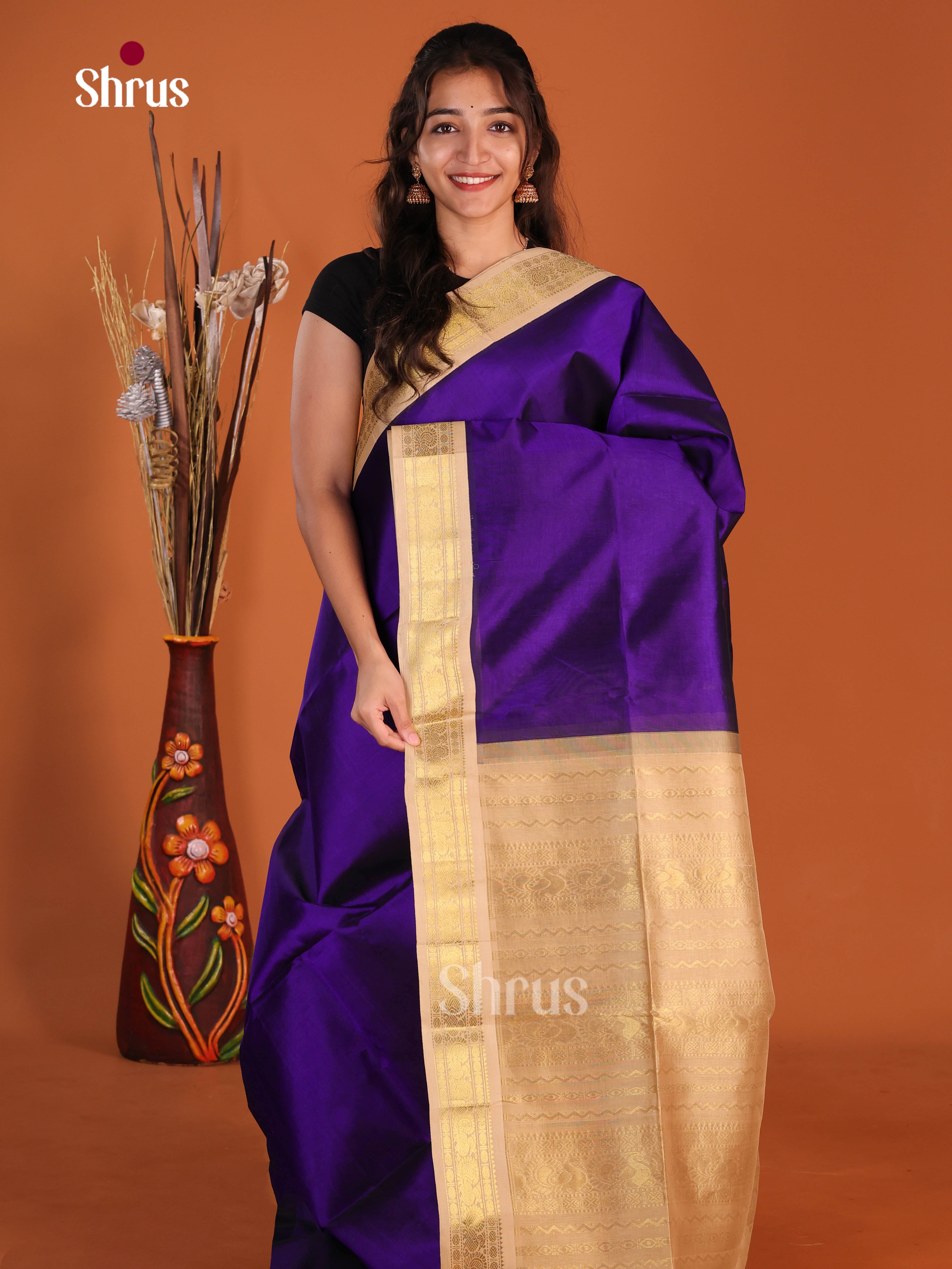 DJS07301 - Korvai-Big border Saree