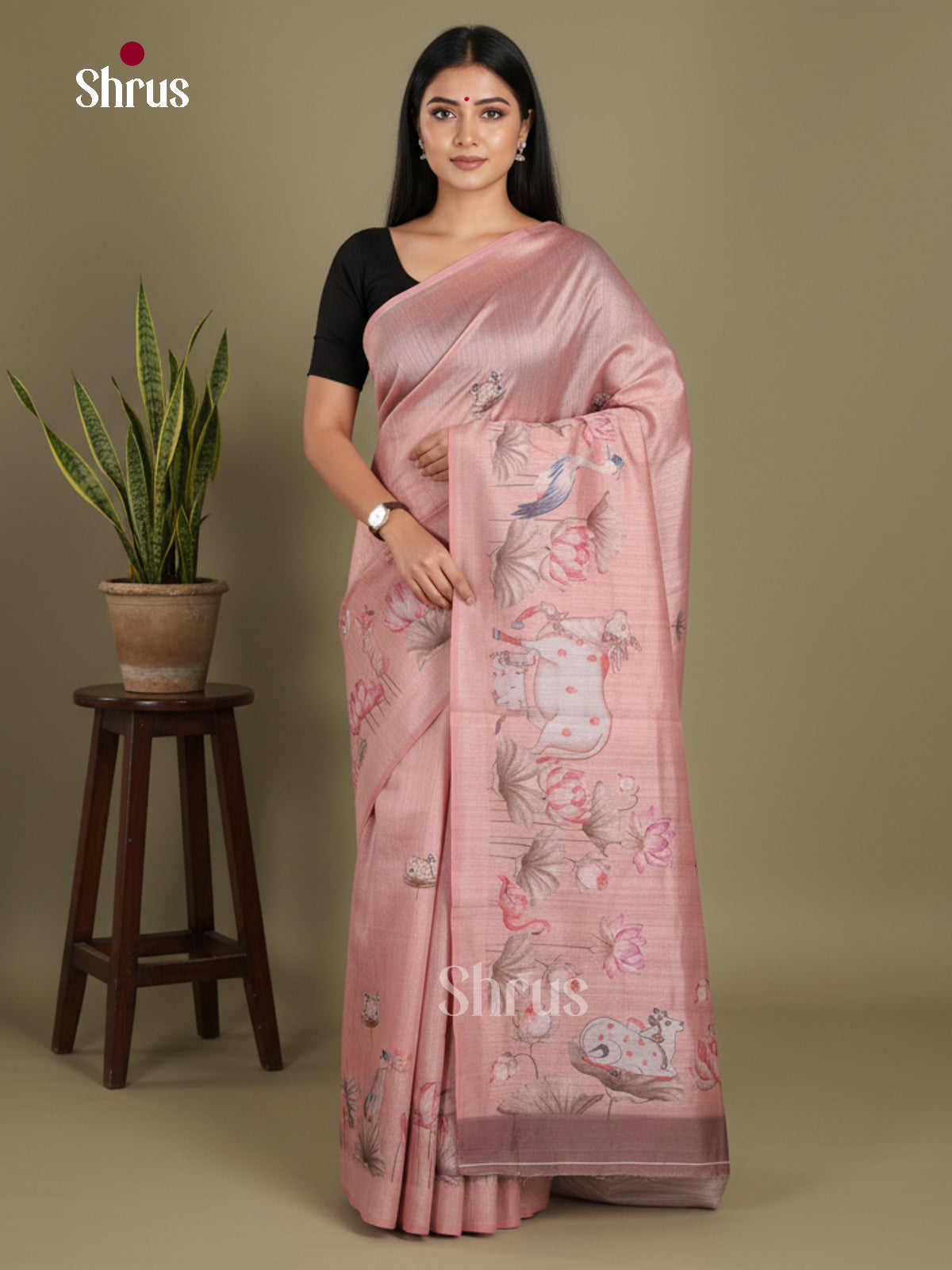 DJS08355 - Semi Chanderi Saree
