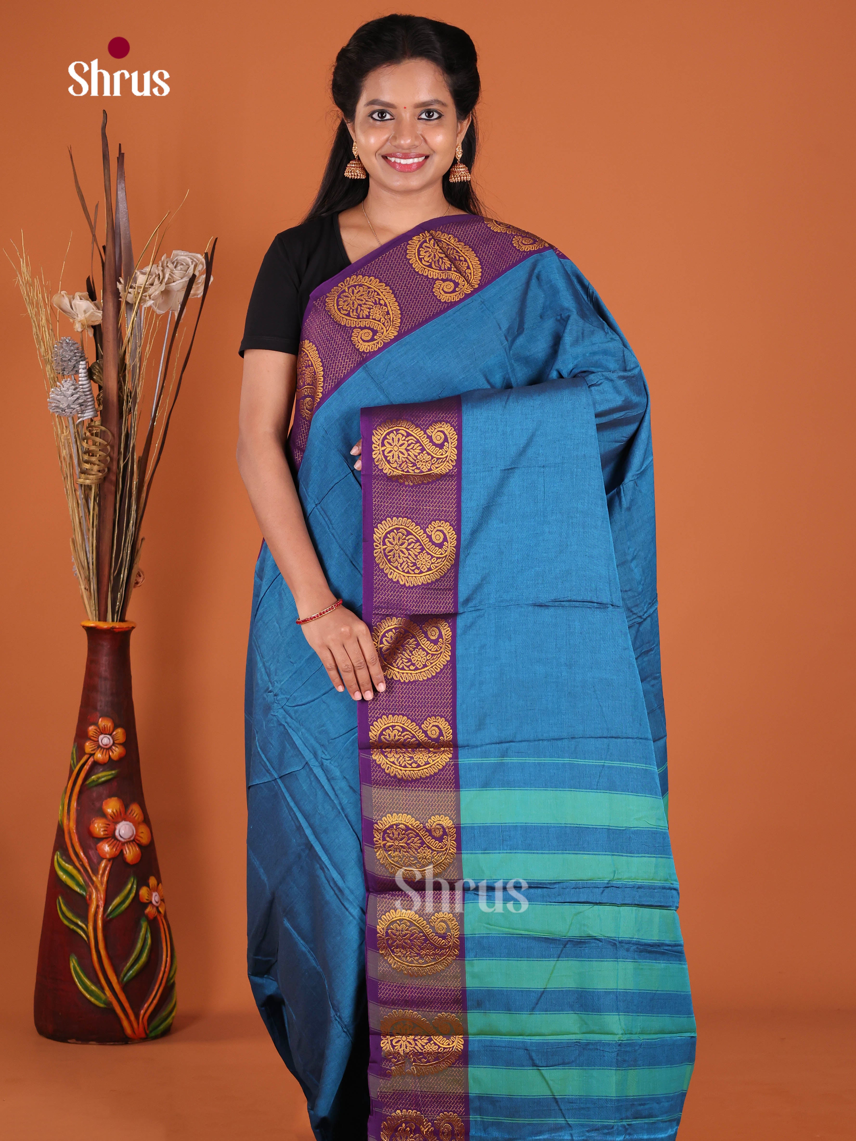 Blue & Violet - Narayanpet Cotton Saree