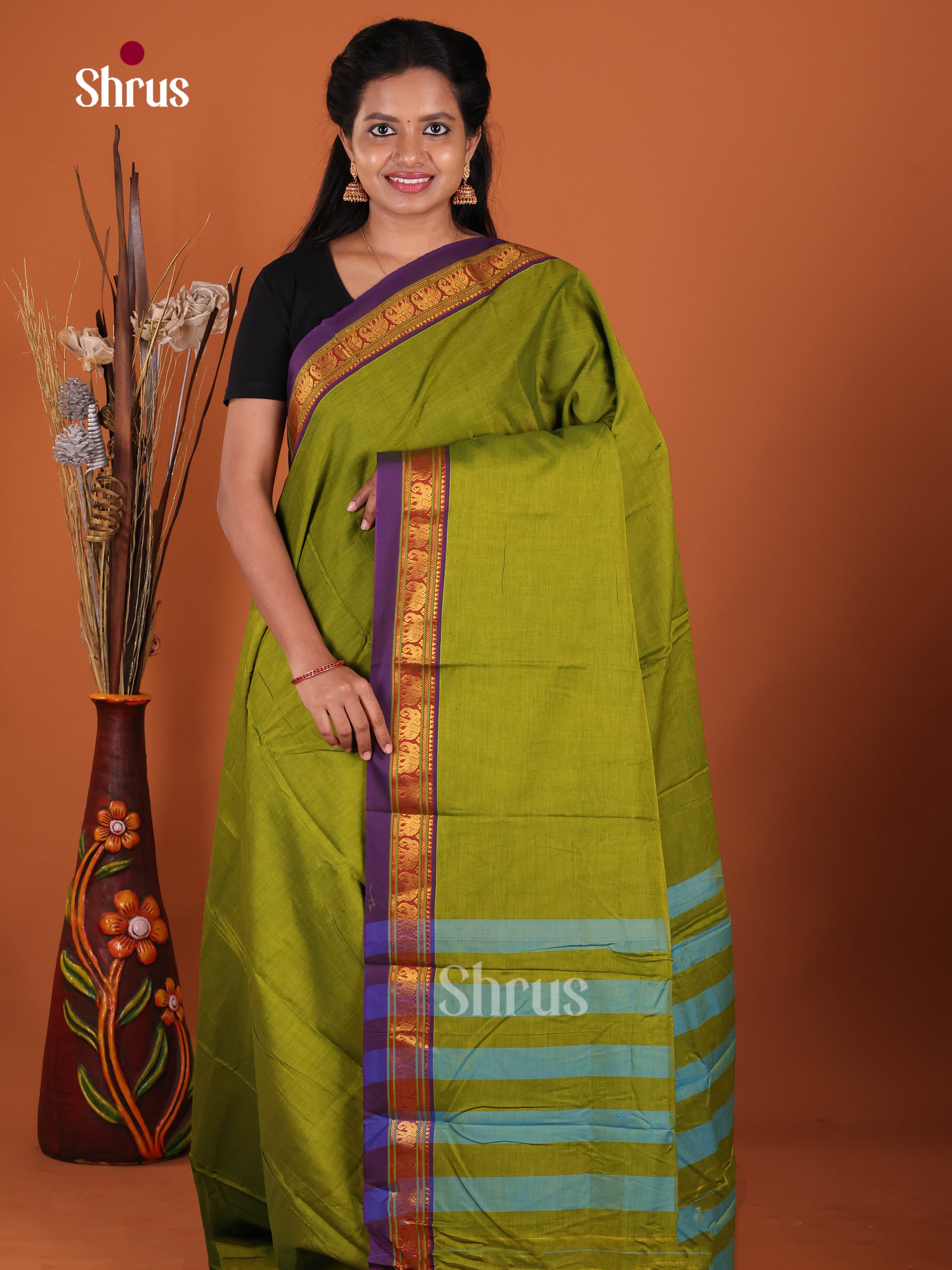 Light Green & Violet - Narayanpet Cotton Saree