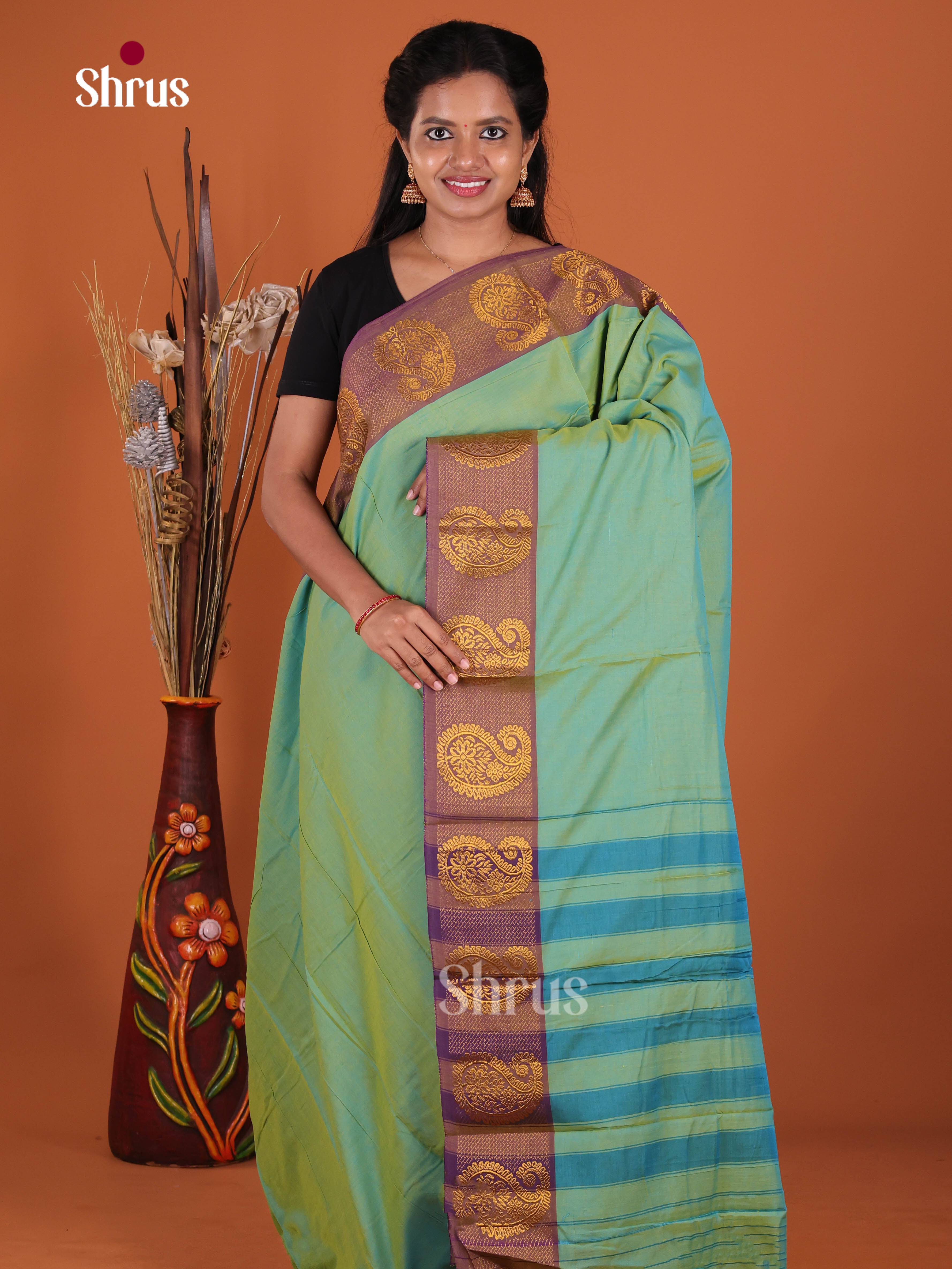 Pastel Green & Purple - Narayanpet Cotton Saree