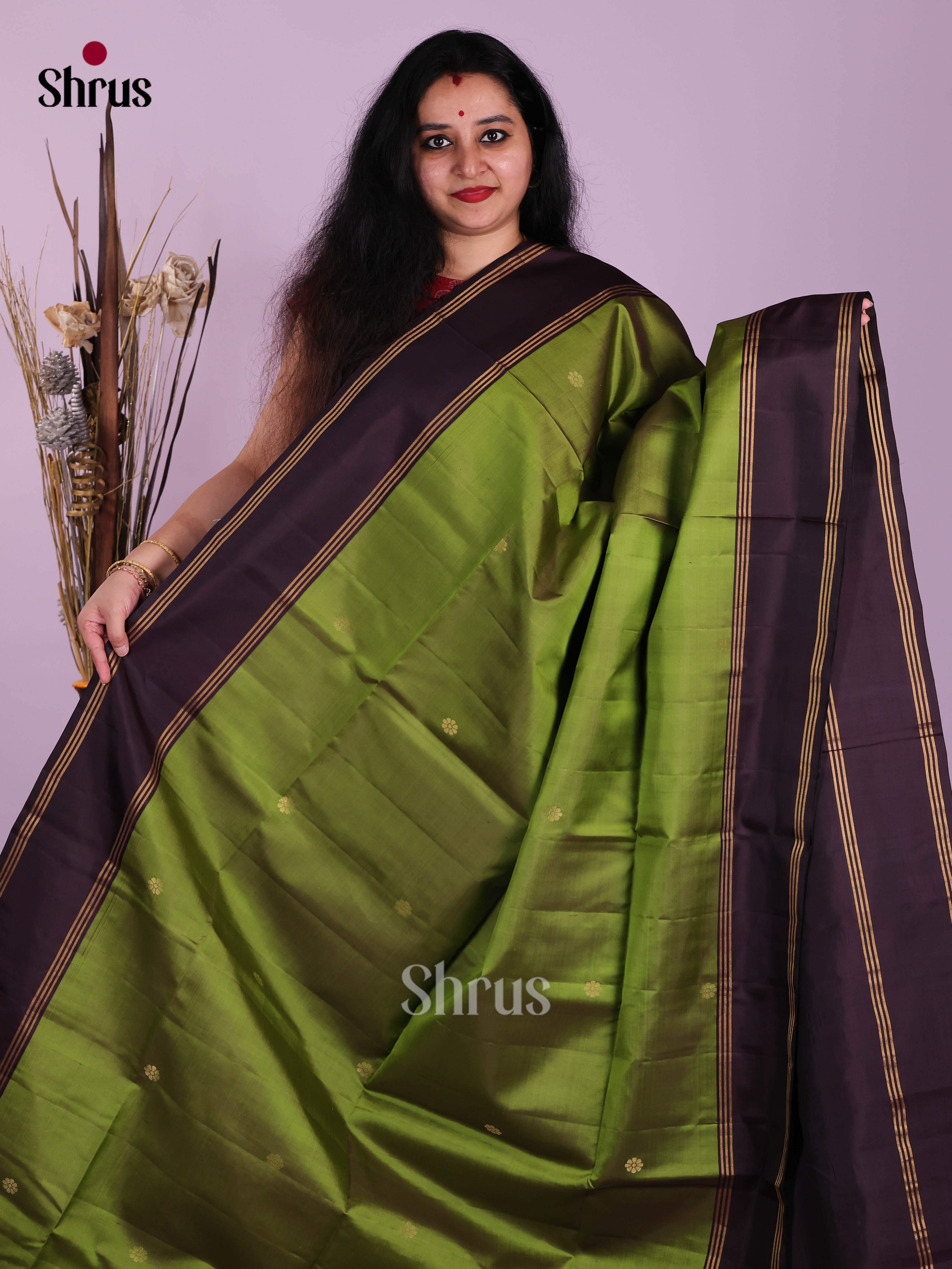 Elegant Light Green Soft Silk Saree with Golden buttas & Violet rettaipet Zari border