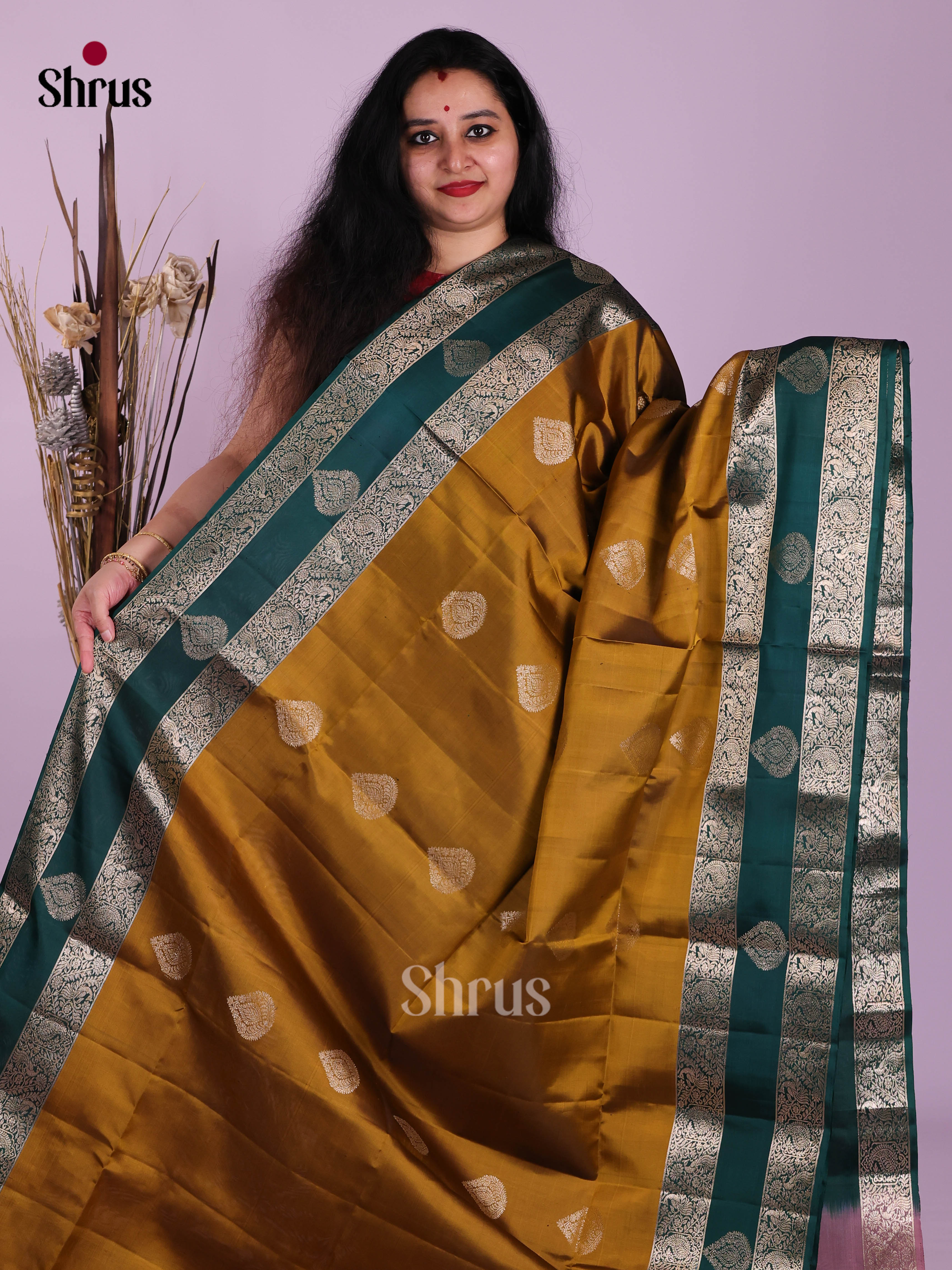 DJS14180 - Soft Silk (HR) Saree - Shop on Shrus.com