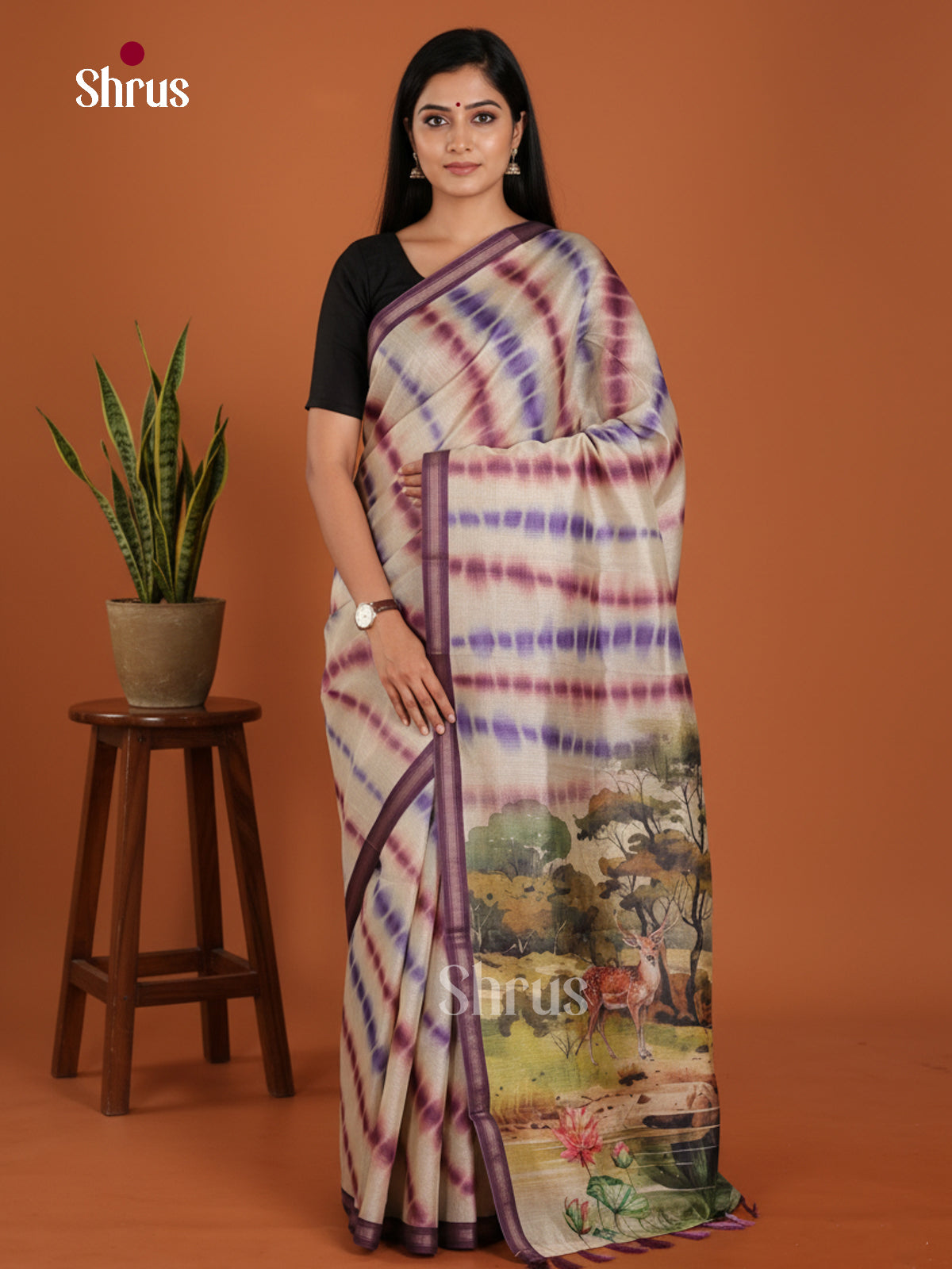 DJS17253 - Semi Chanderi Saree