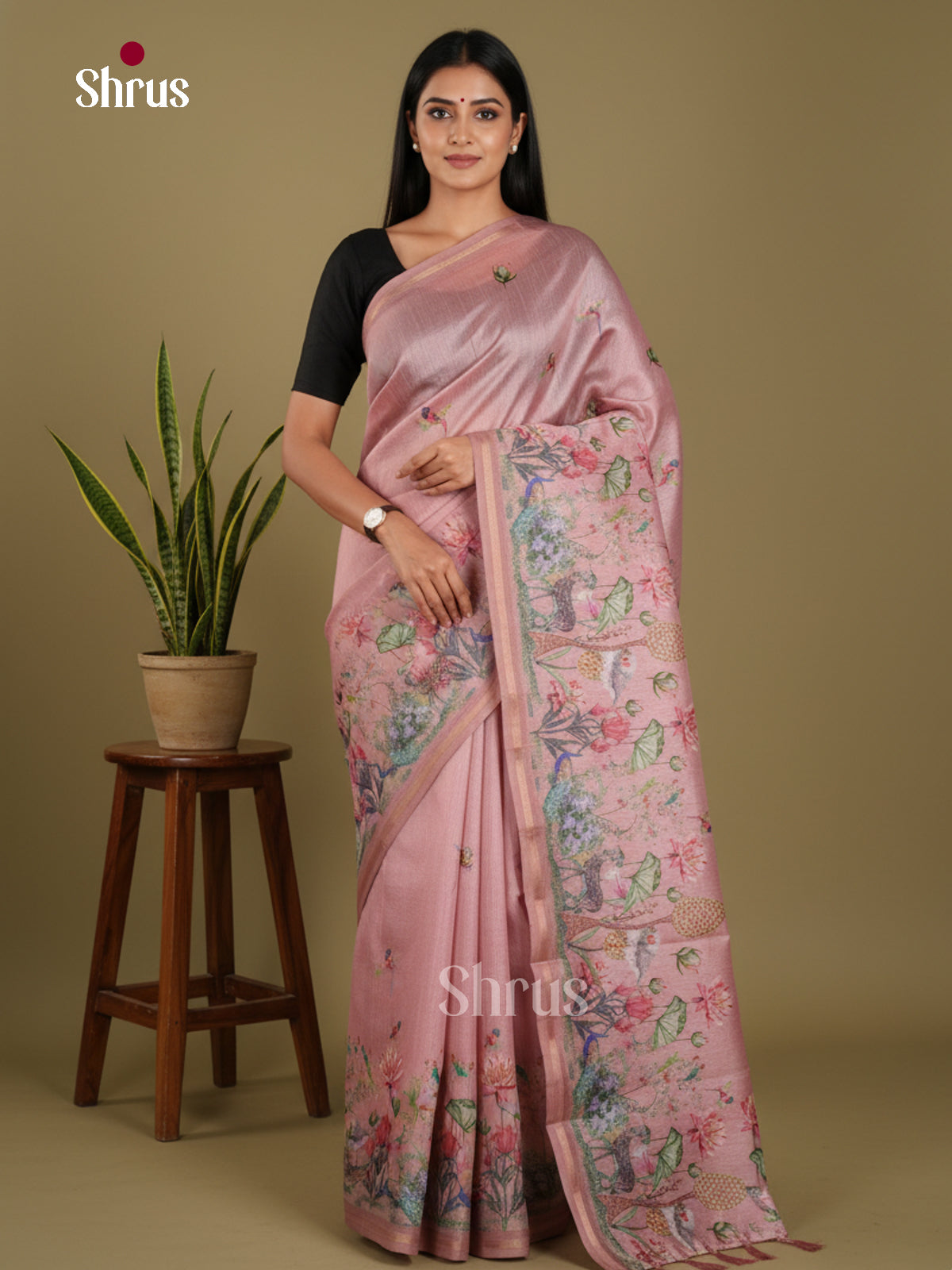 DJS17262 - Semi Chanderi Saree