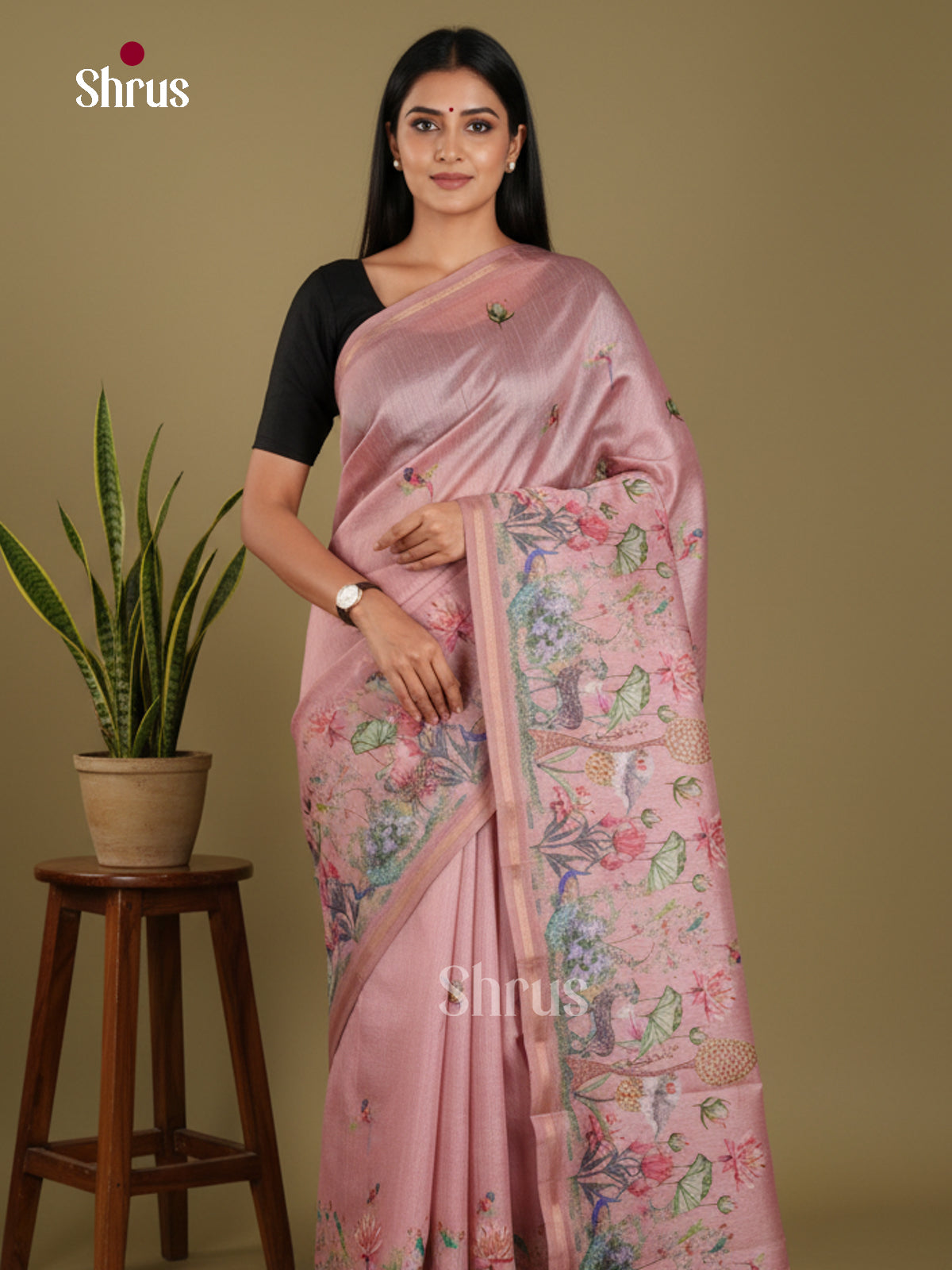 DJS17262 - Semi Chanderi Saree