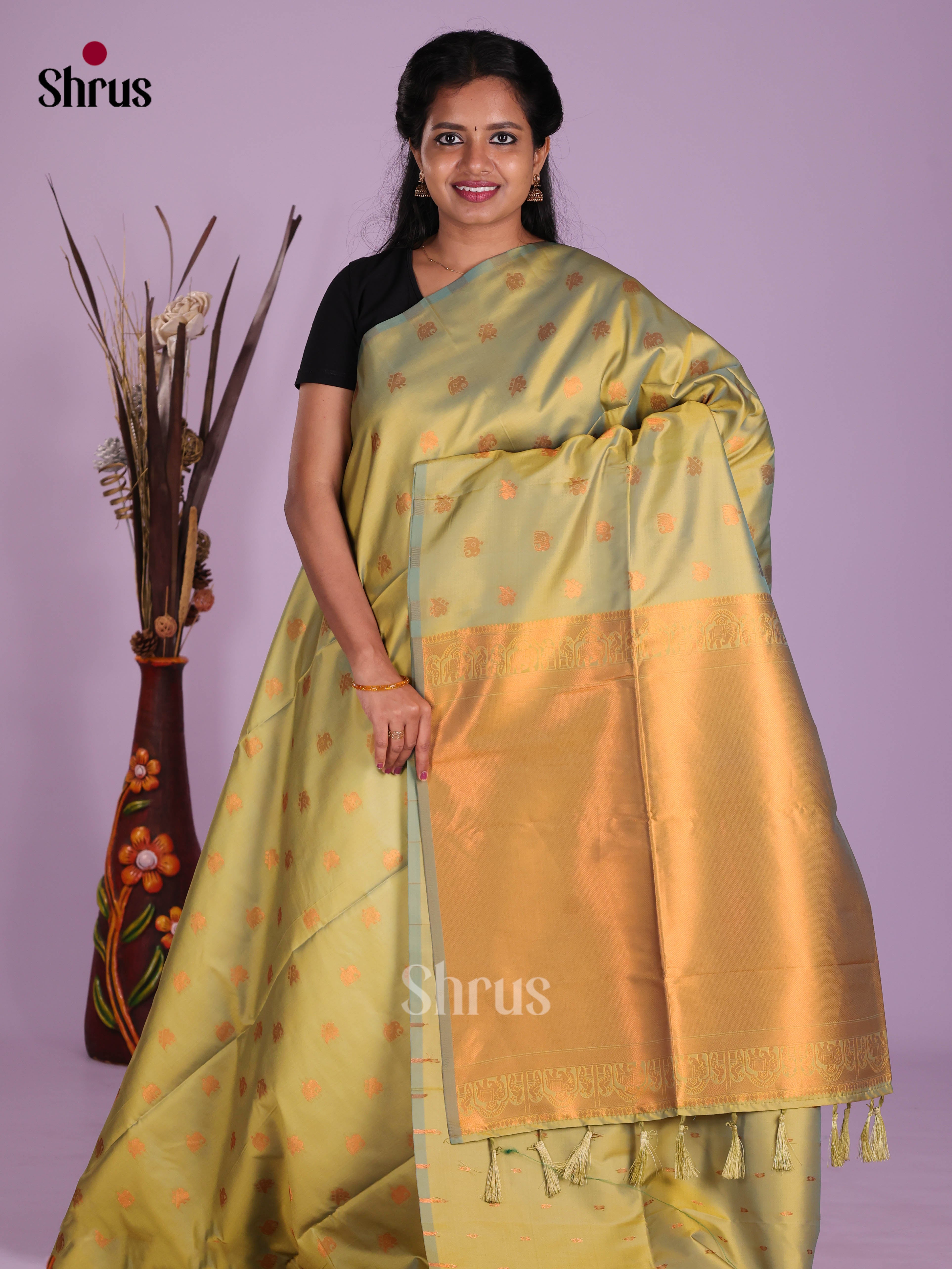Pastel Green - Semi Softsilk Saree