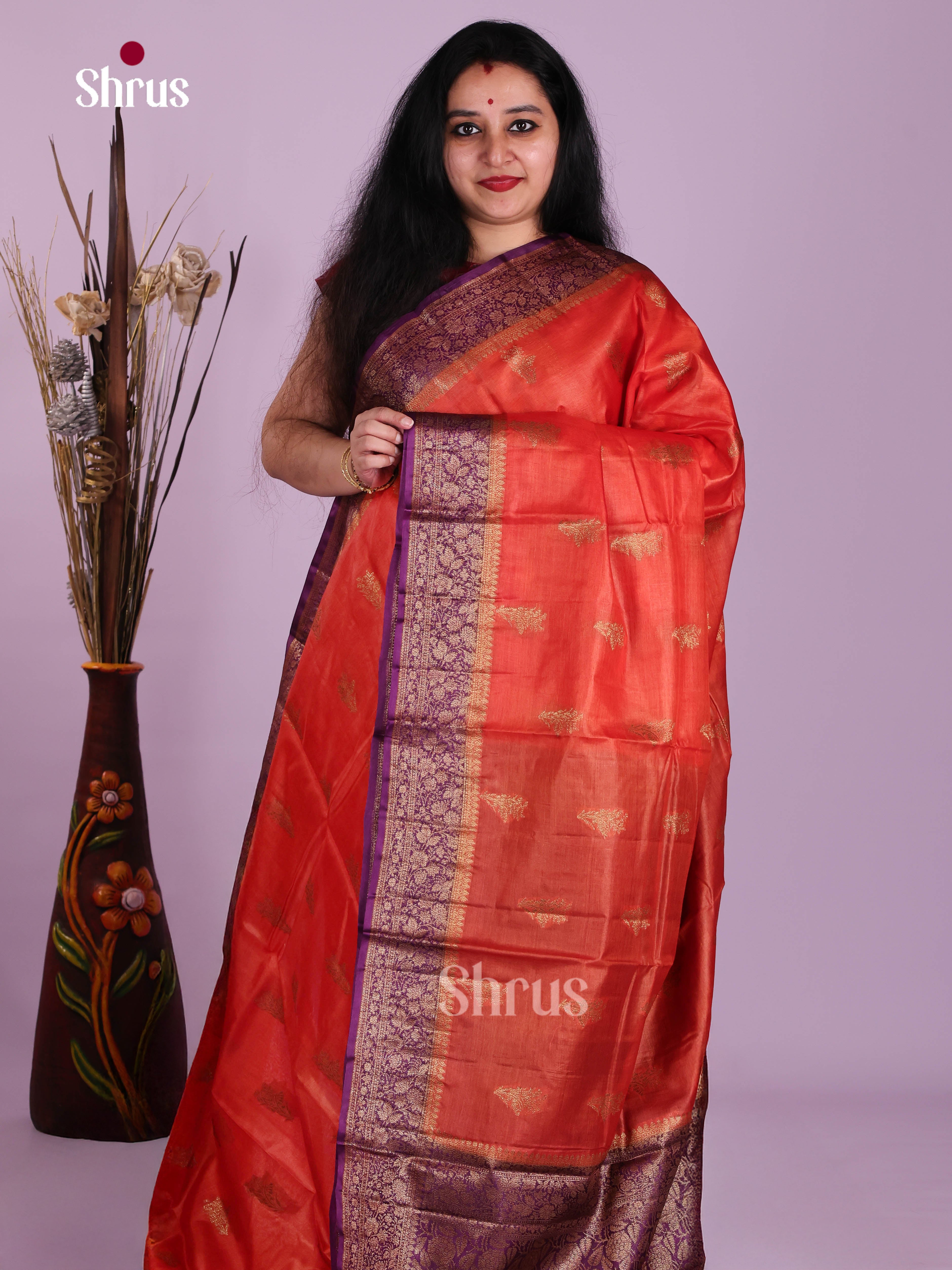DJS23474 - Tussar Saree - Shop on Shrus.com