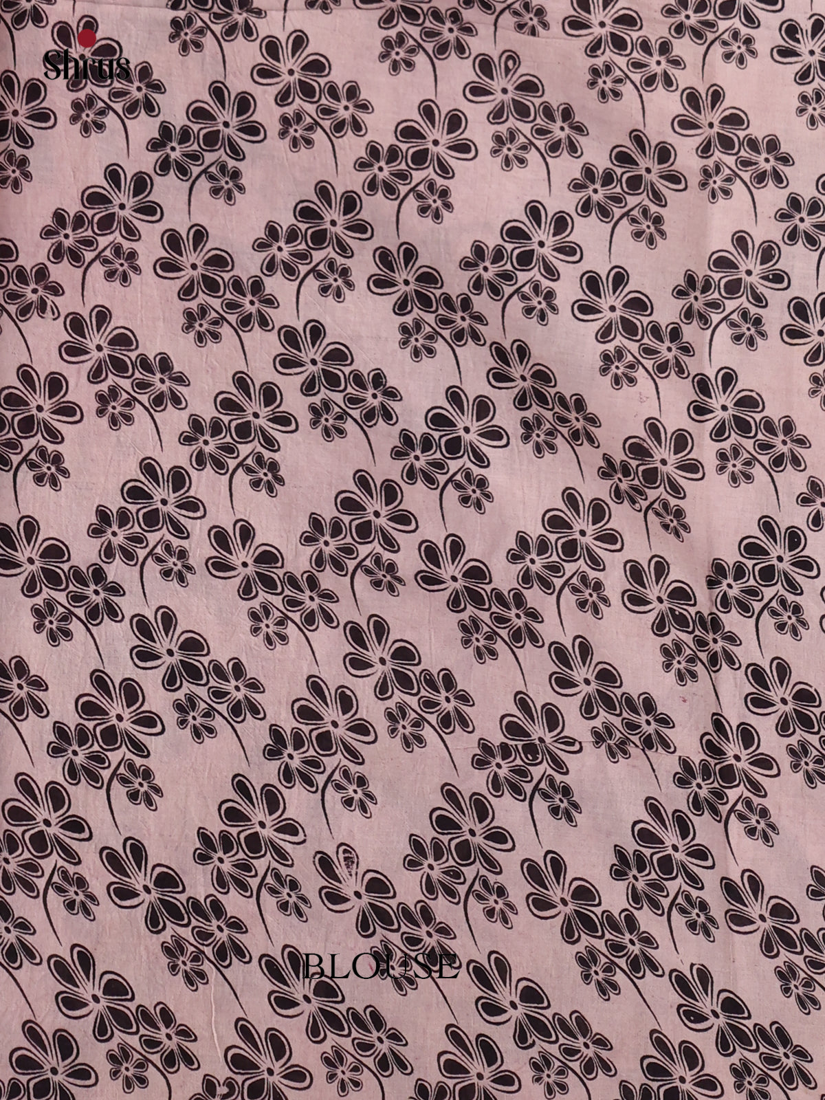 Black & Cream - kalamkari-cotton Saree