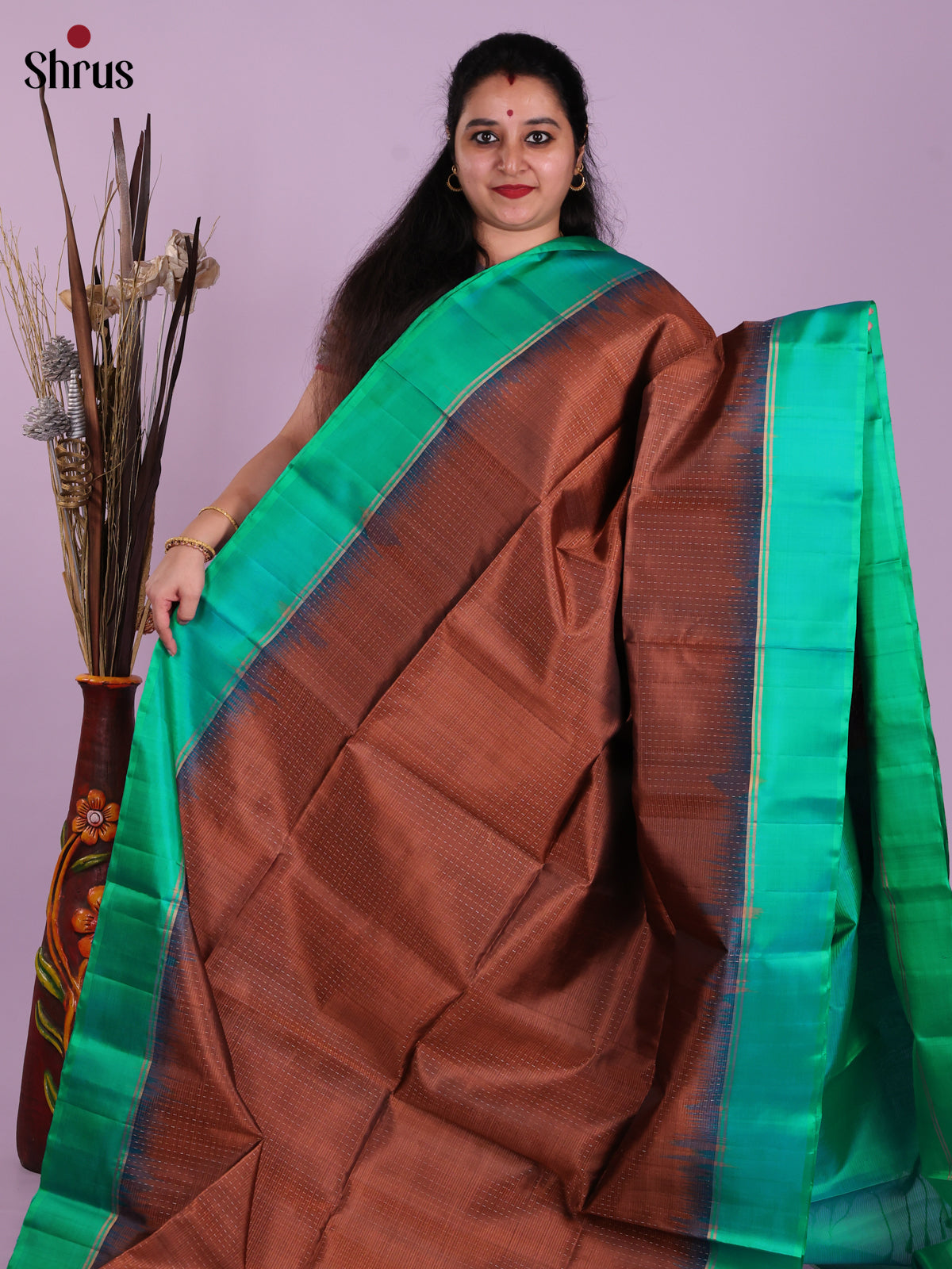 Regal Brown & Green Soft Silk Saree with zari stripes & Brocade pallu